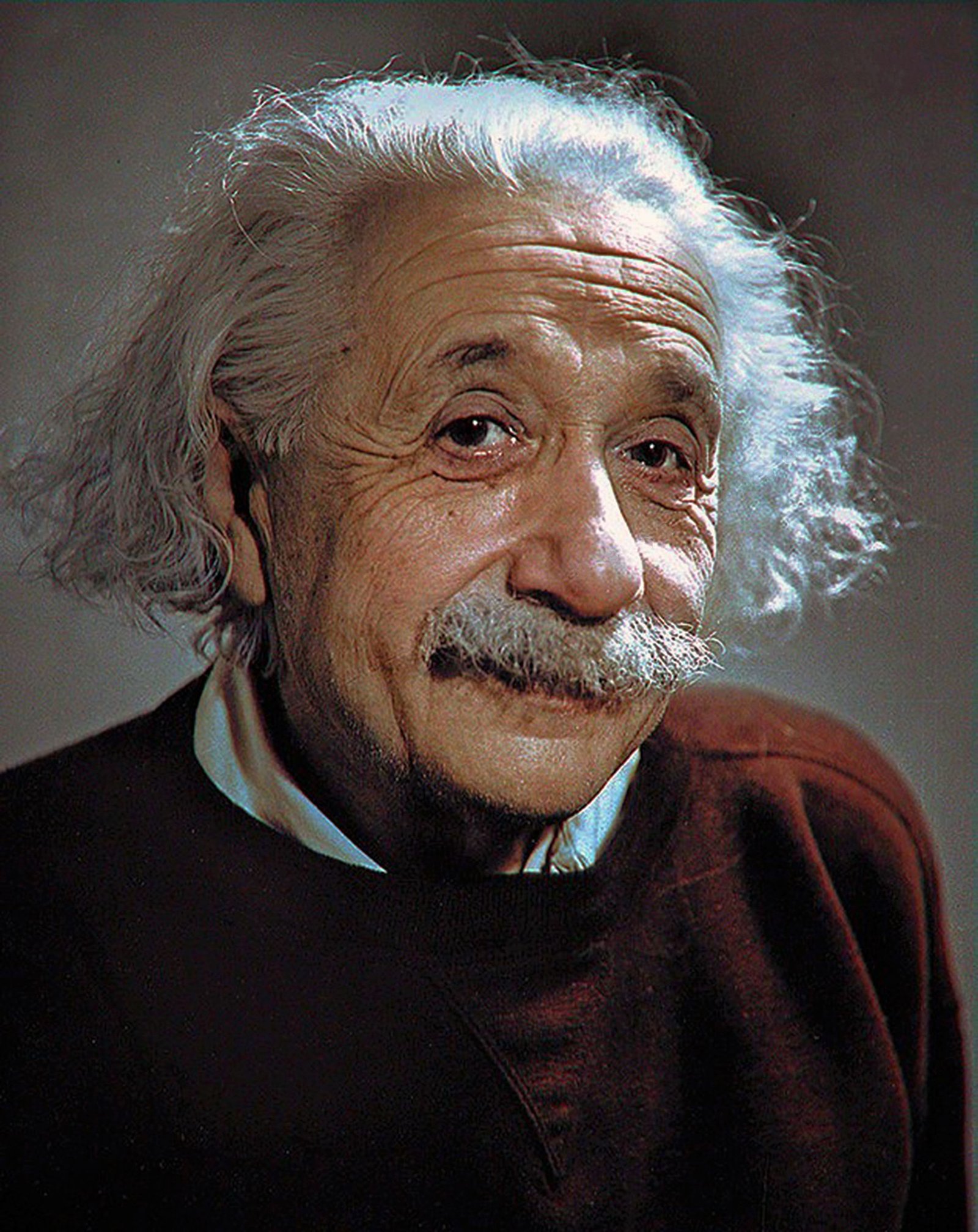 Albert Einstein Profil Resmi