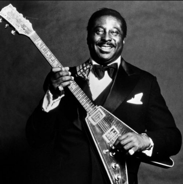 Albert King Profil Resmi