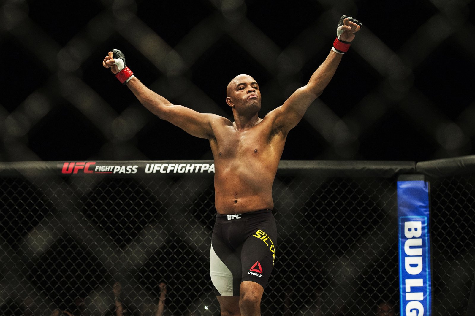 Anderson Silva Profil Resmi