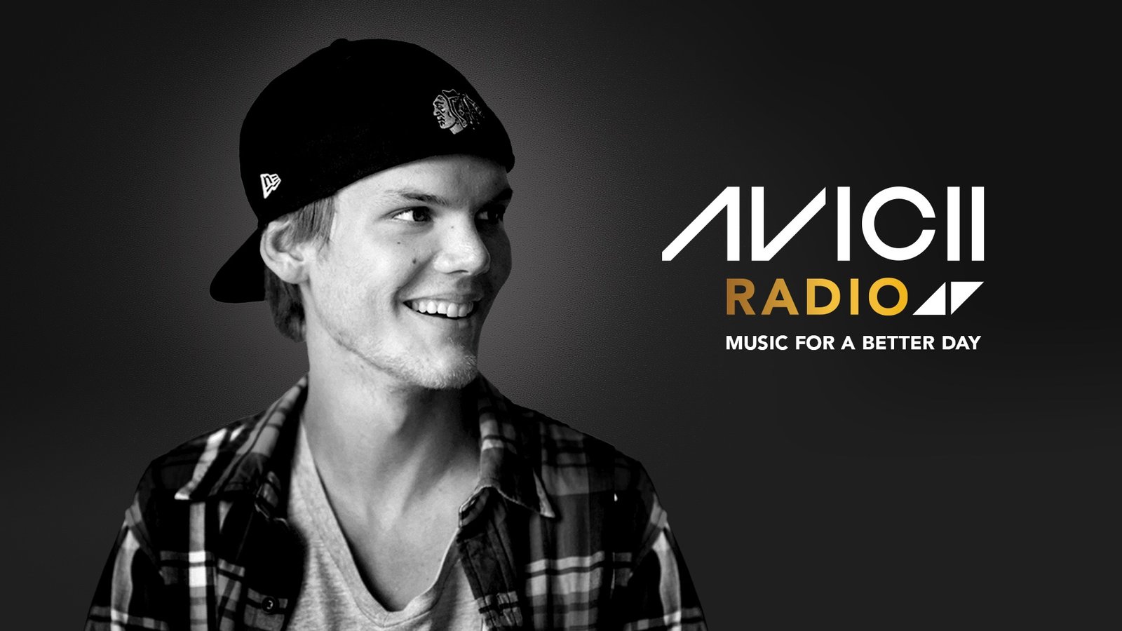 Avicii Fotoğrafı - 1