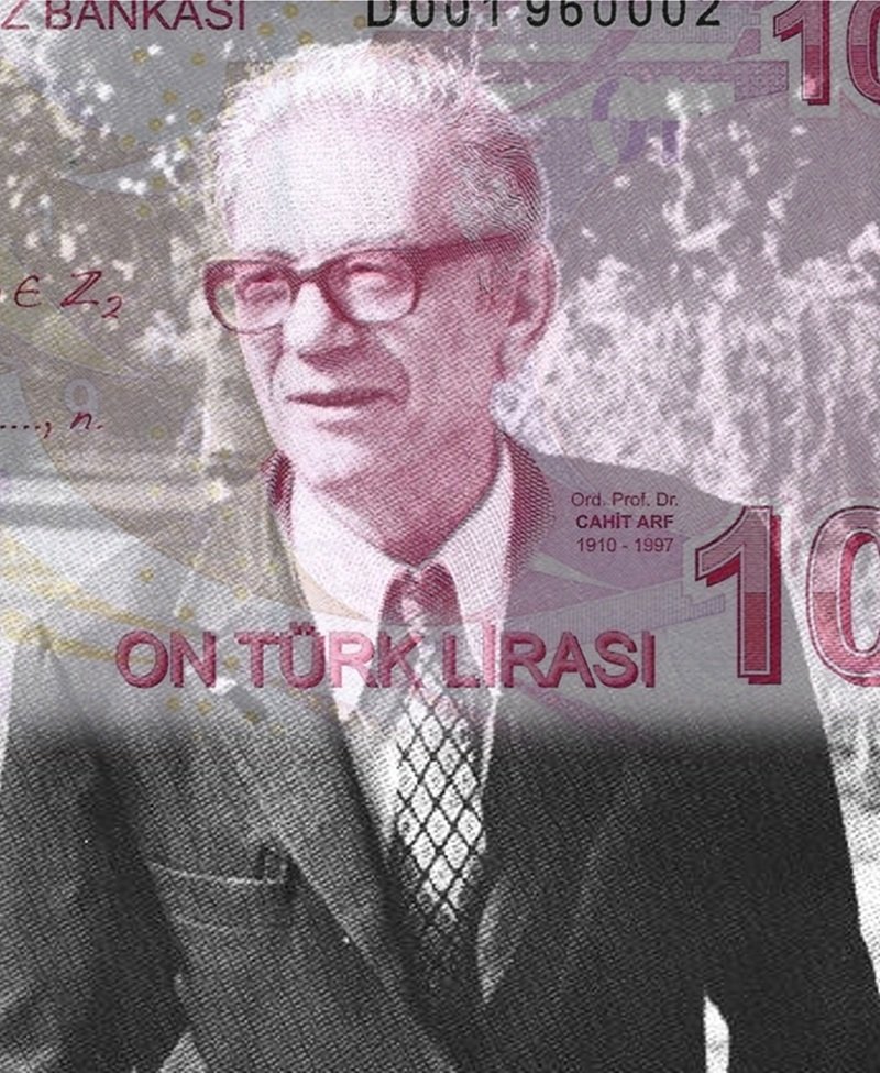 Cahit Arf Fotoğrafı - 4