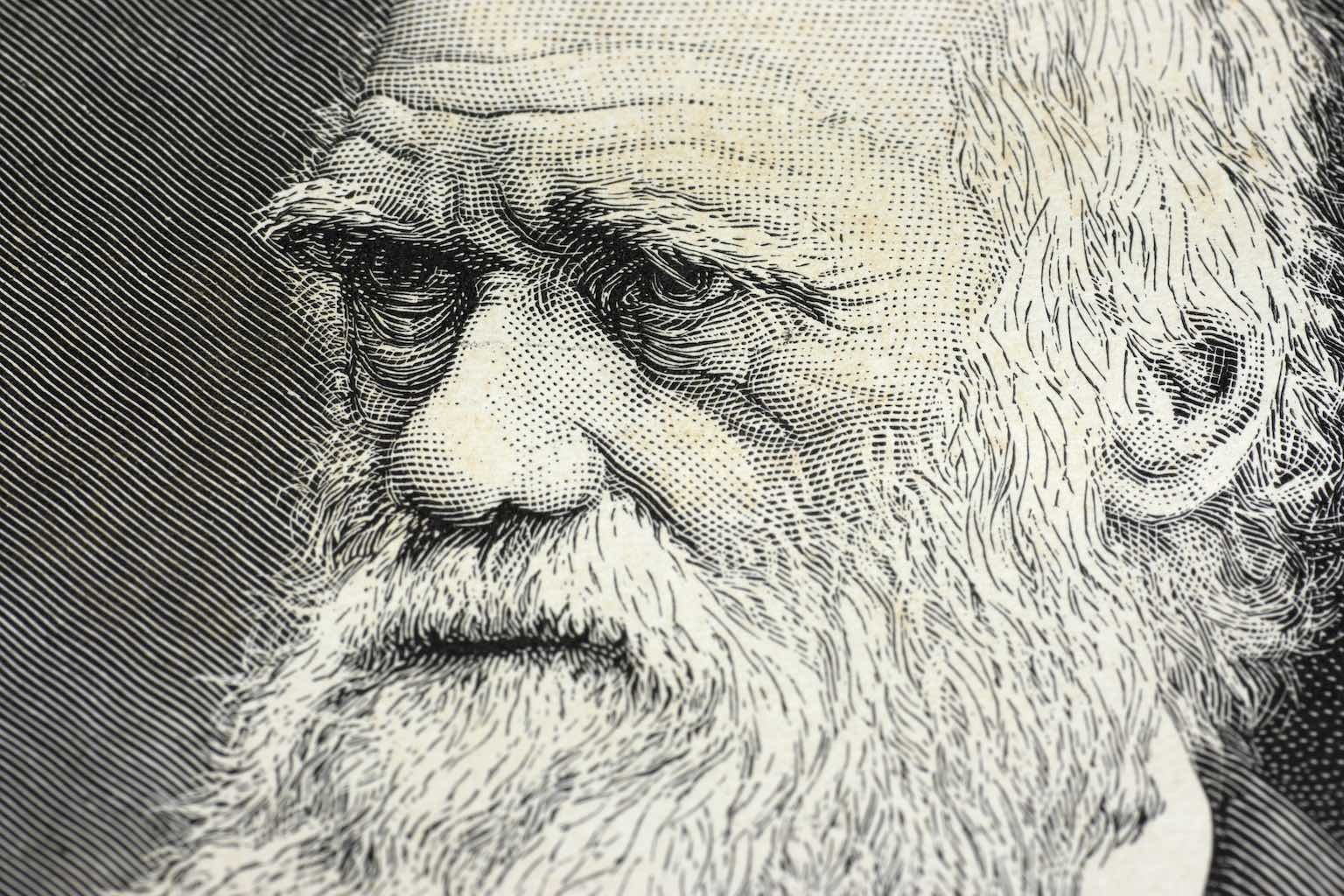 Charles Darwin Profil Resmi
