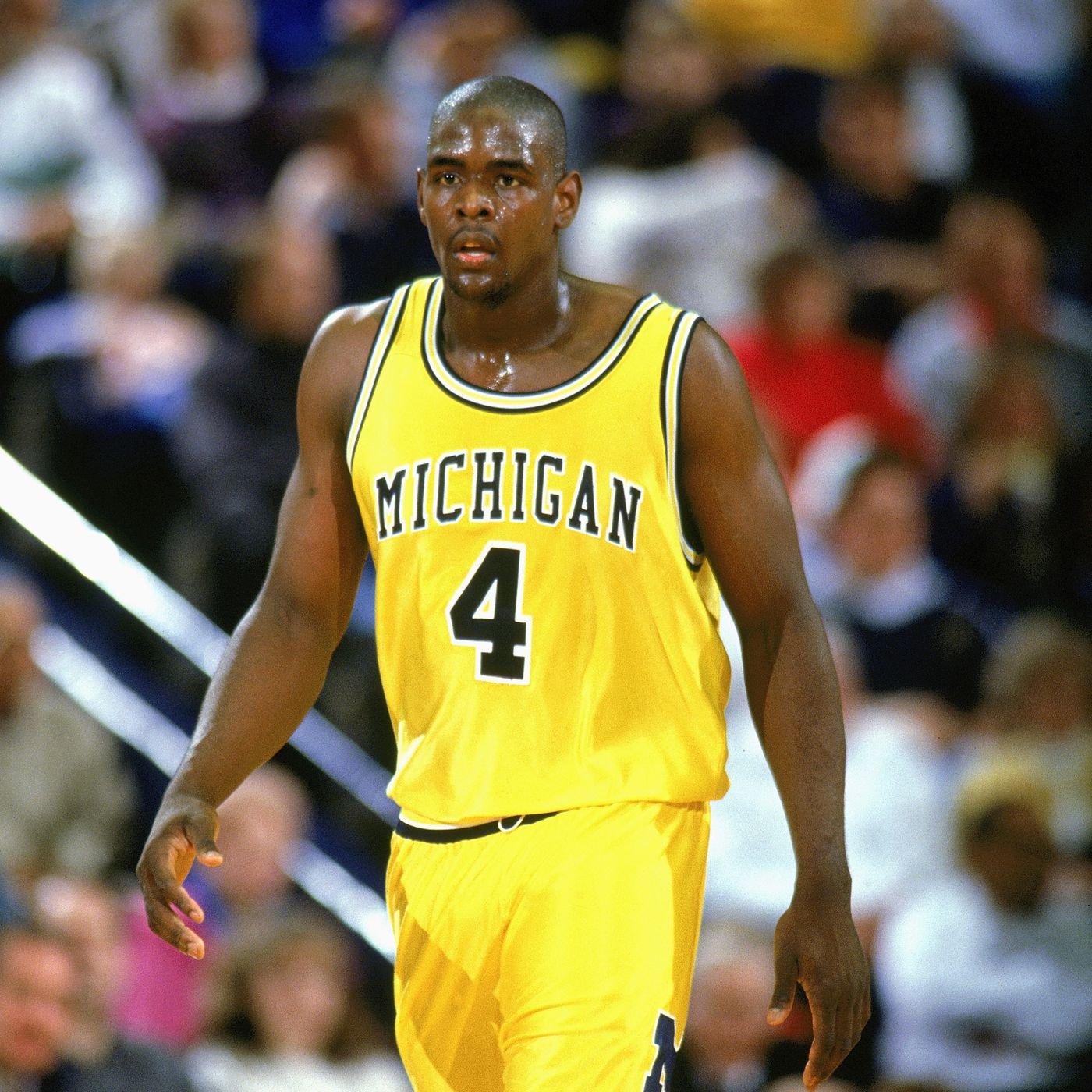 Chris Webber Fotoğrafı - 4