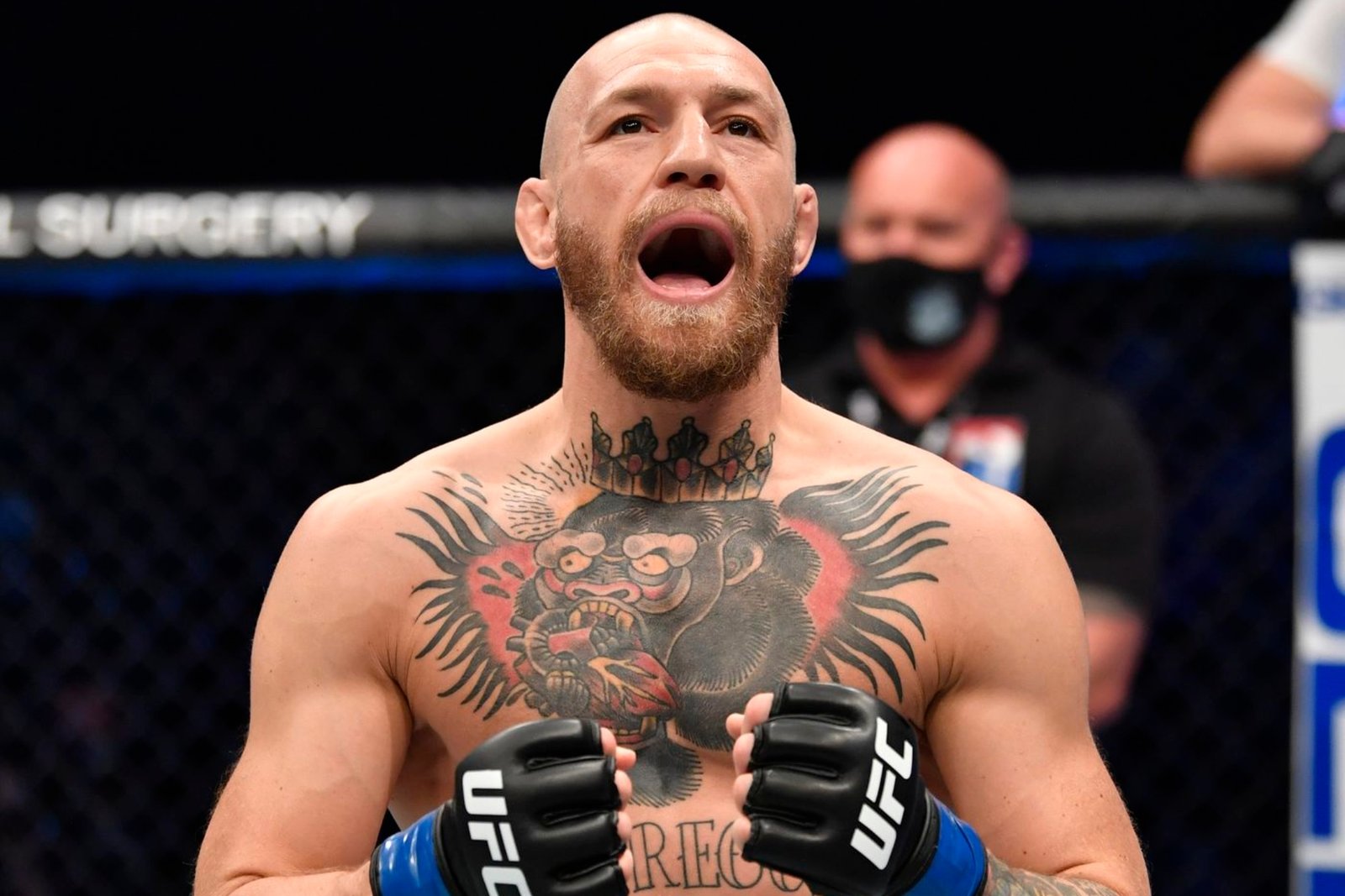 Conor McGregor Fotoğrafı - 1