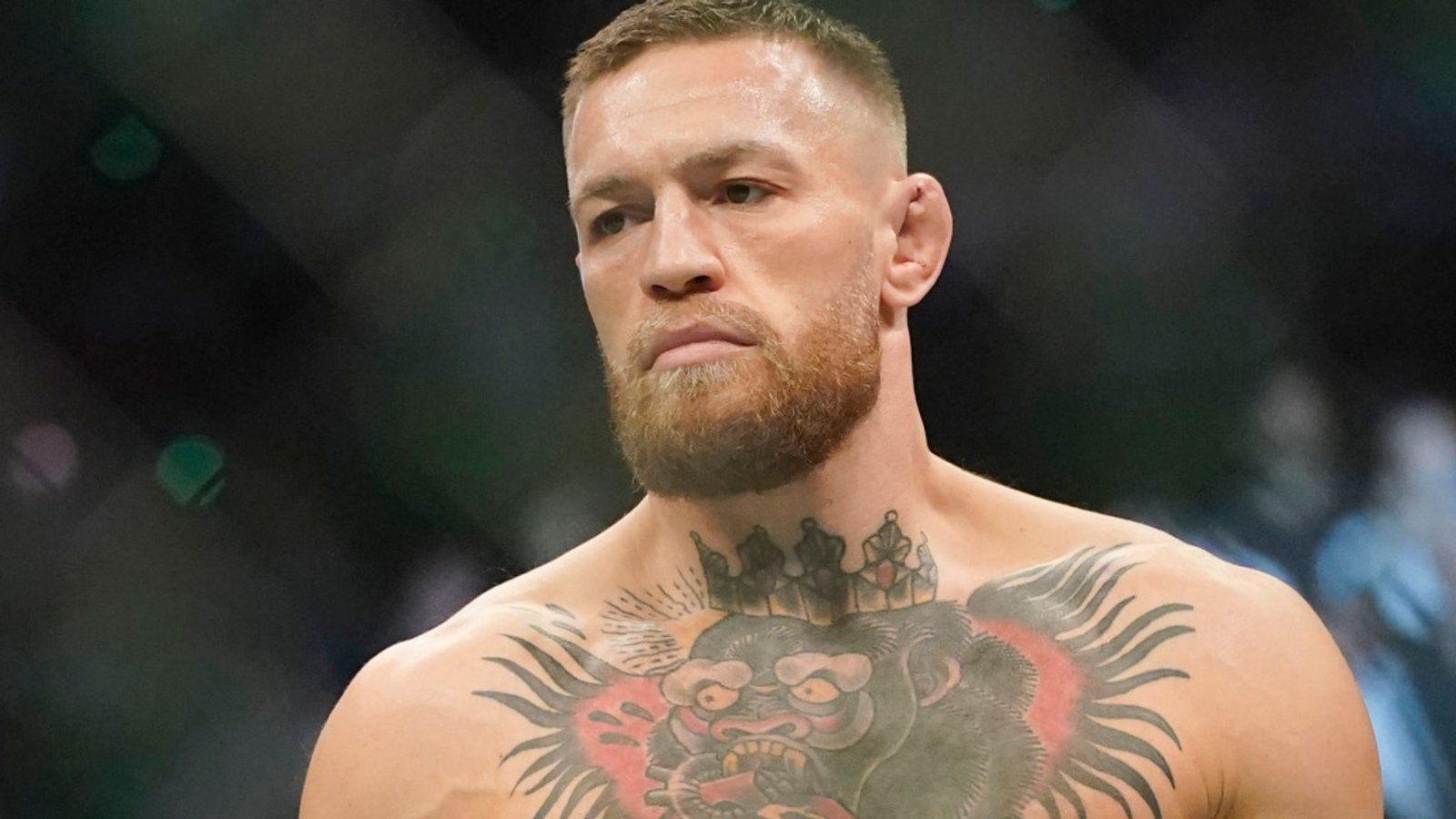 Conor McGregor Fotoğrafı - 3