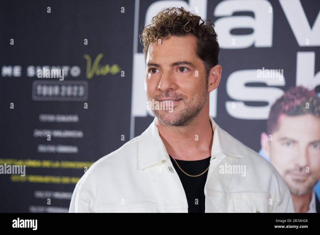 David Bisbal Fotoğrafı - 3