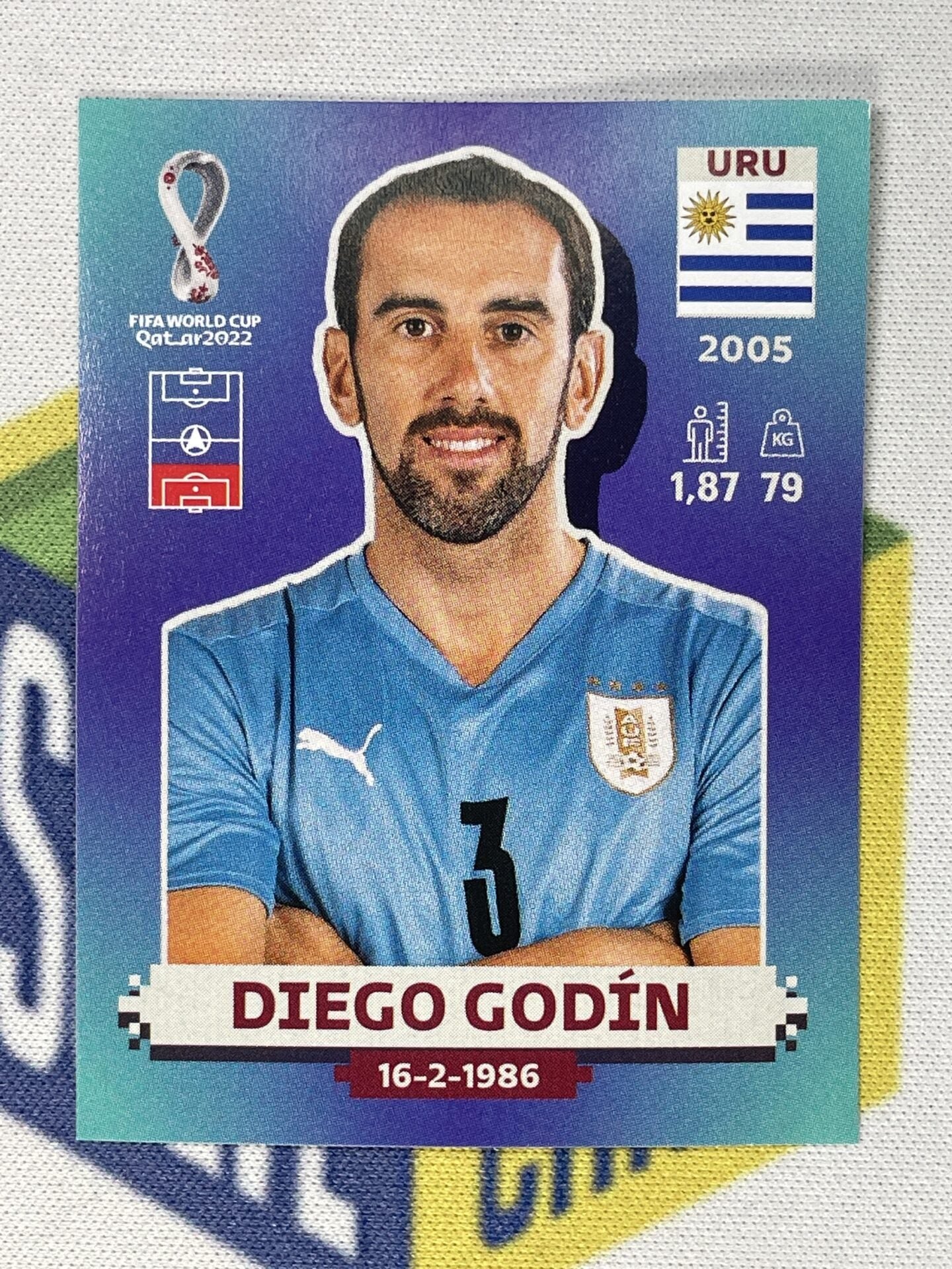 Diego Godín Fotoğrafı - 2