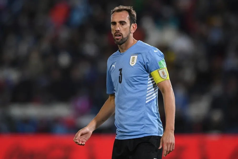 Diego Godín Fotoğrafı - 4