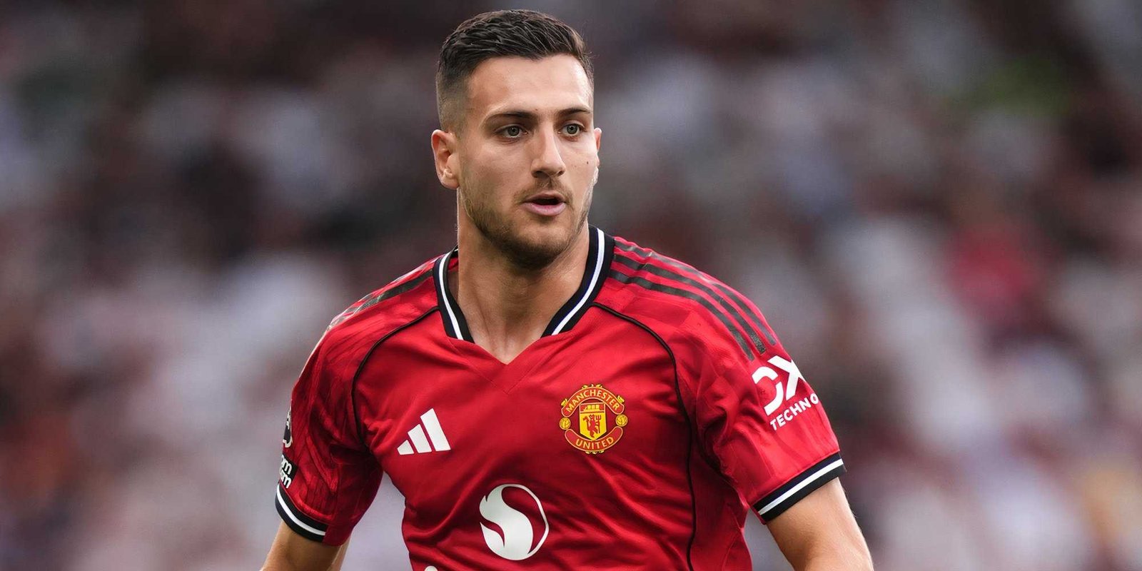 Diogo Dalot Fotoğrafı - 2