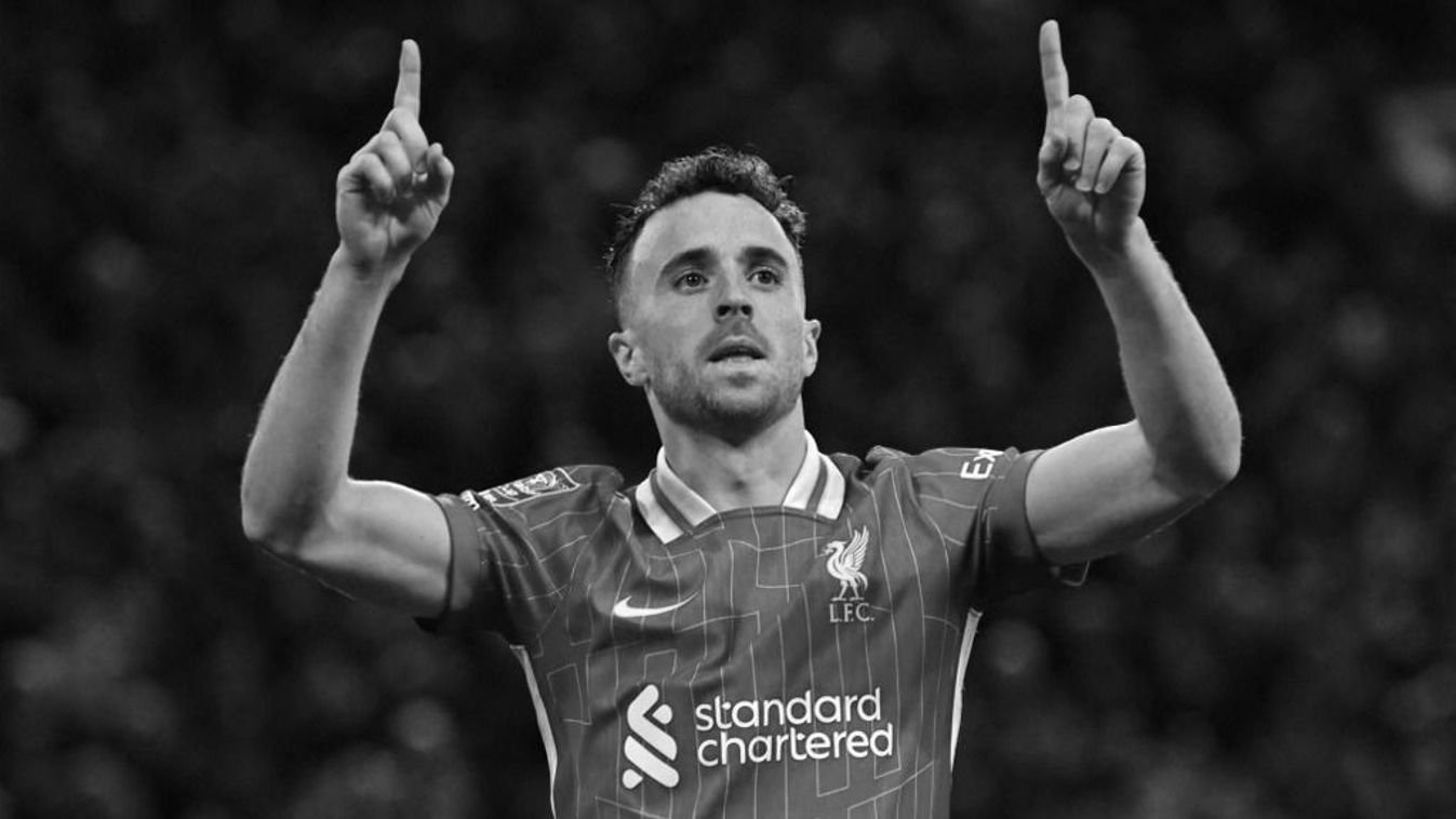 Diogo Jota Profil Resmi