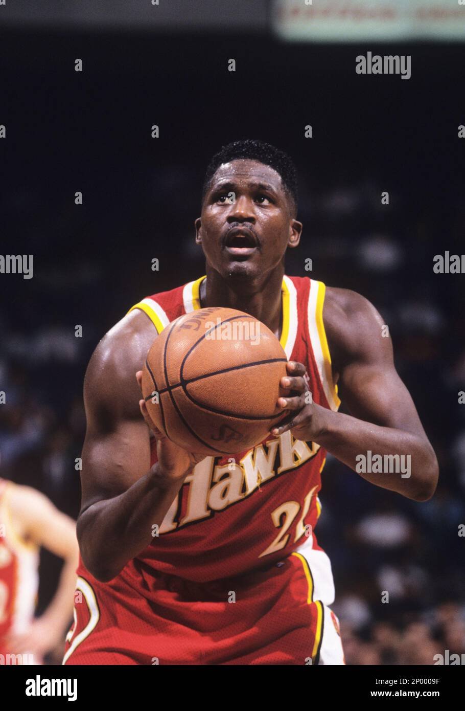 Dominique Wilkins Fotoğrafı - 5