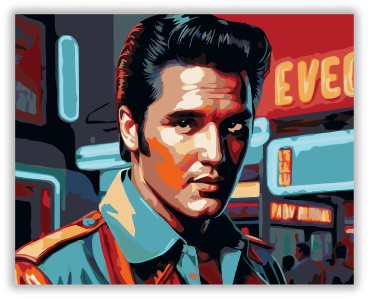 Elvis Presley Fotoğrafı - 1