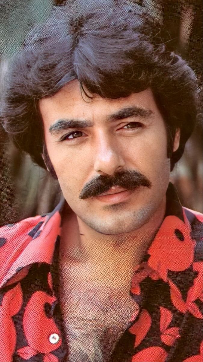 Ferdi Tayfur Fotoğrafı - 4