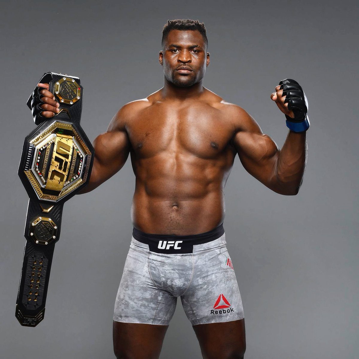 Francis Ngannou Fotoğrafı - 3