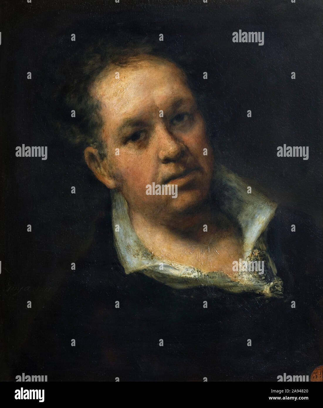 Francisco Goya Fotoğrafı - 4