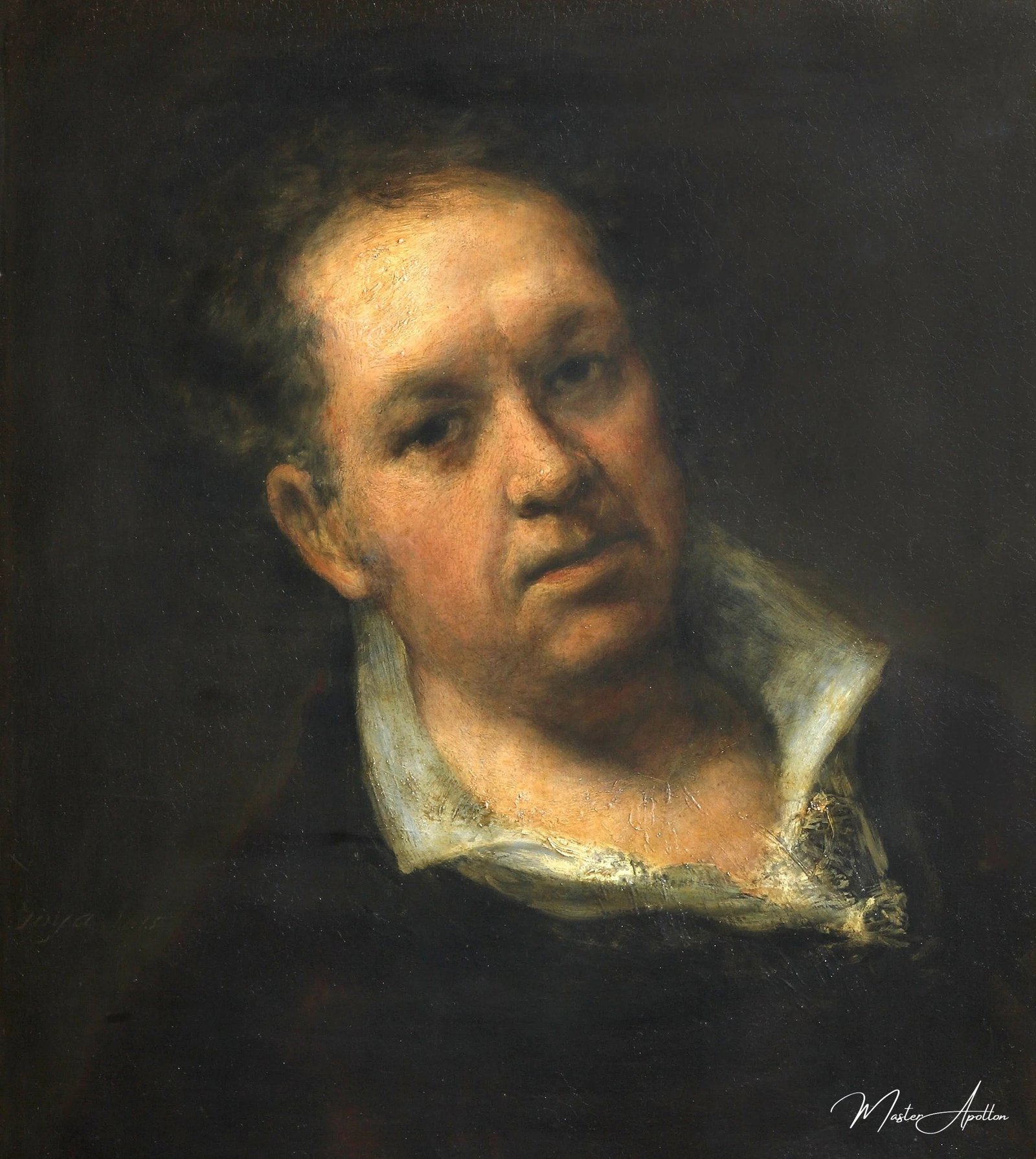 Francisco Goya Fotoğrafı - 5