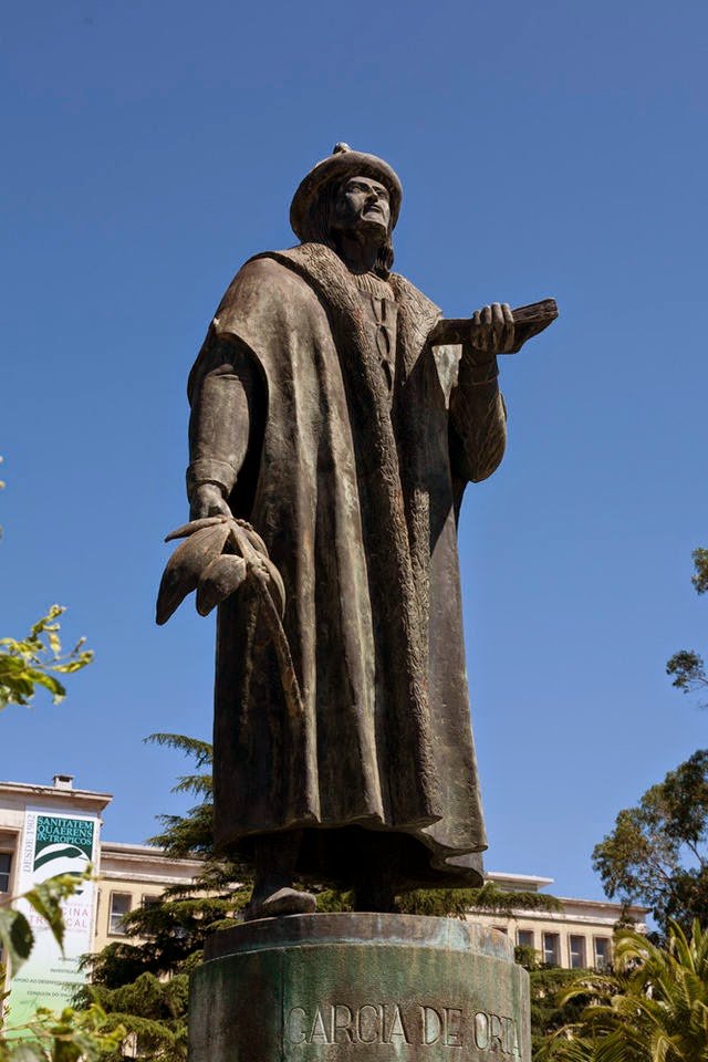 Garcia de Orta Fotoğrafı - 4