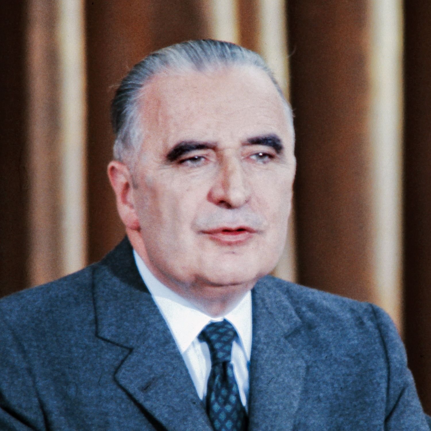 Georges Pompidou Profil Resmi