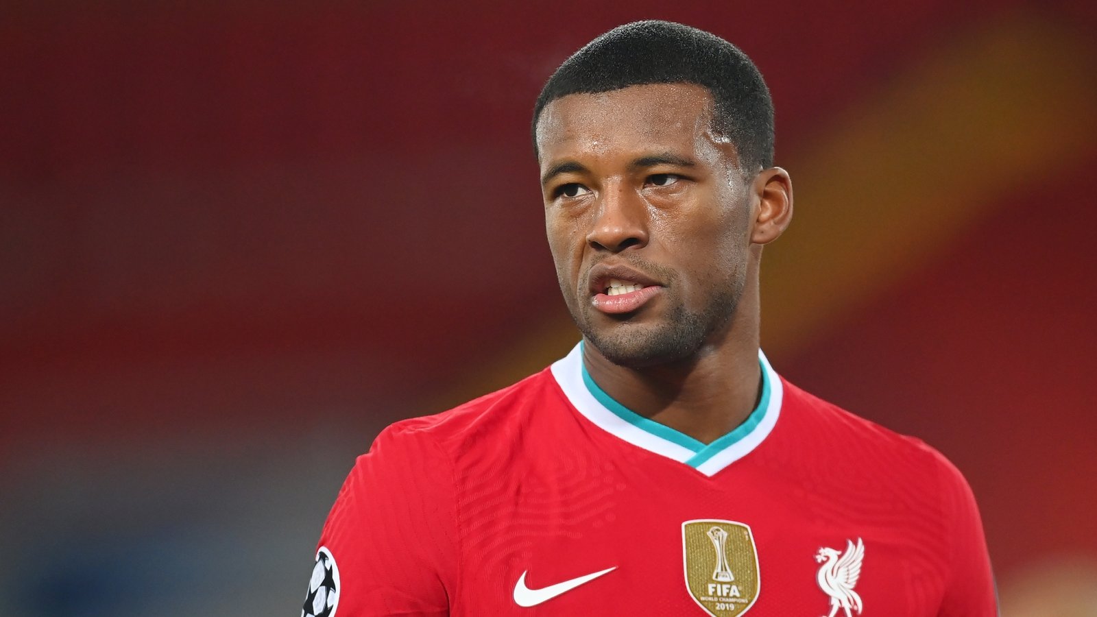 Georginio Wijnaldum Fotoğrafı - 3