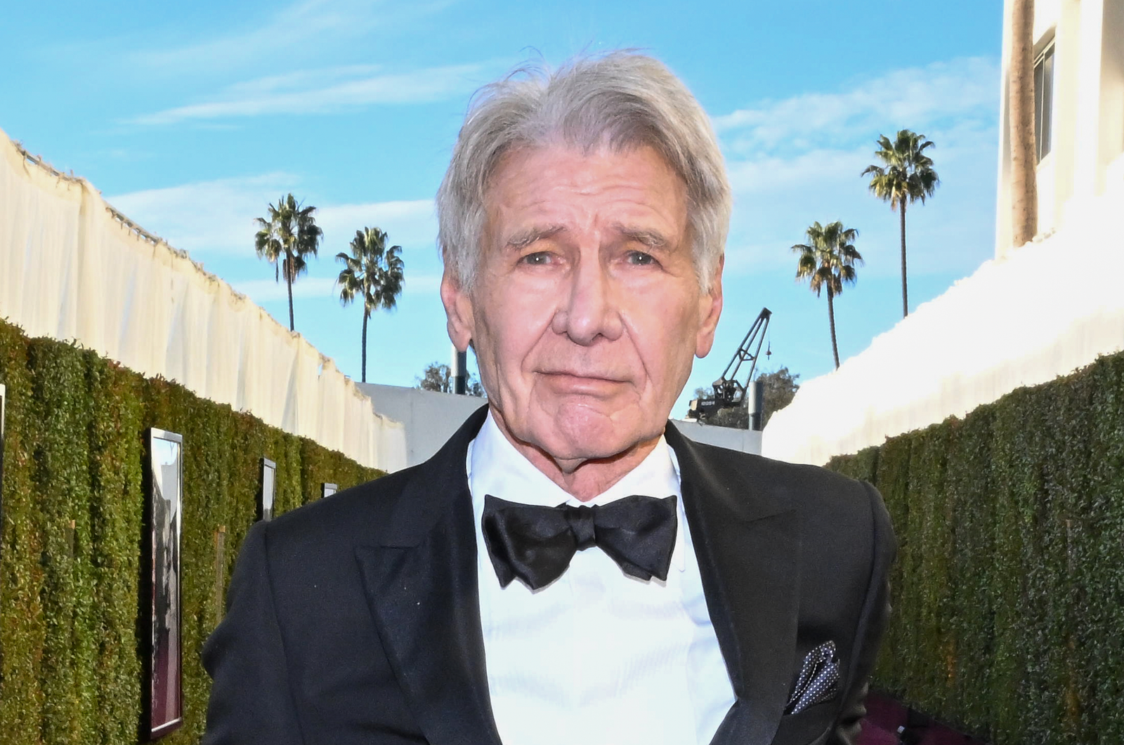Harrison Ford Fotoğrafı - 5