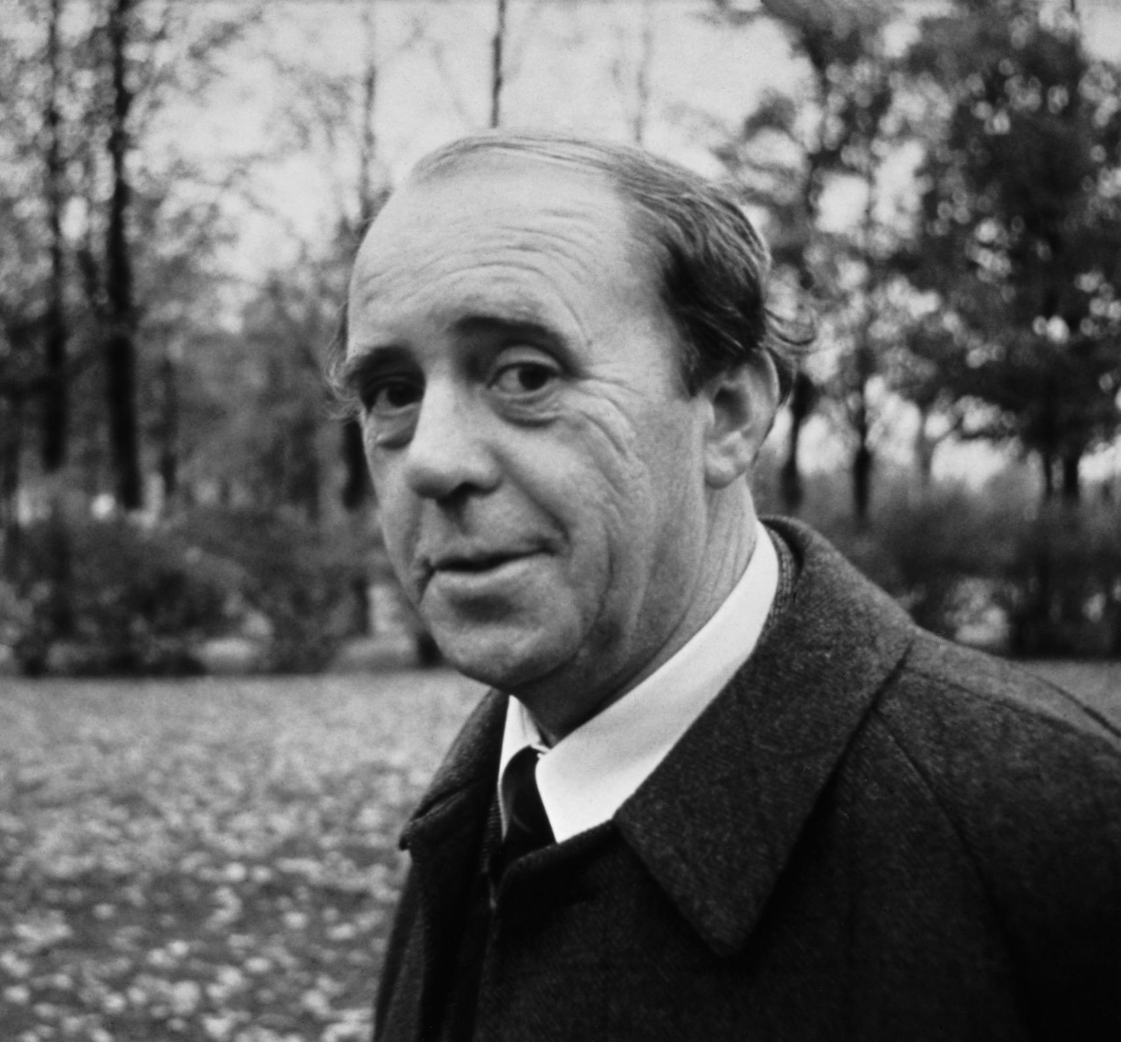 Heinrich Böll Profil Resmi