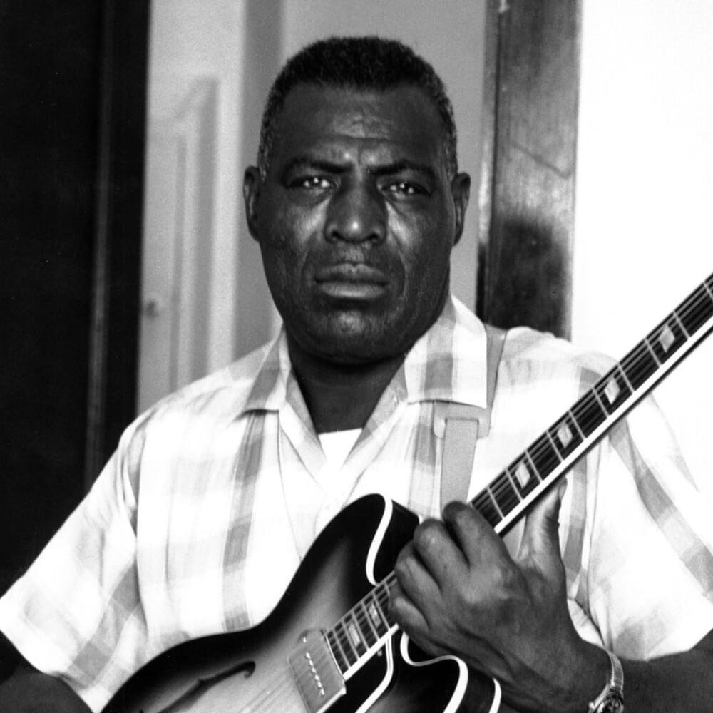 Howlin' Wolf Fotoğrafı - 5