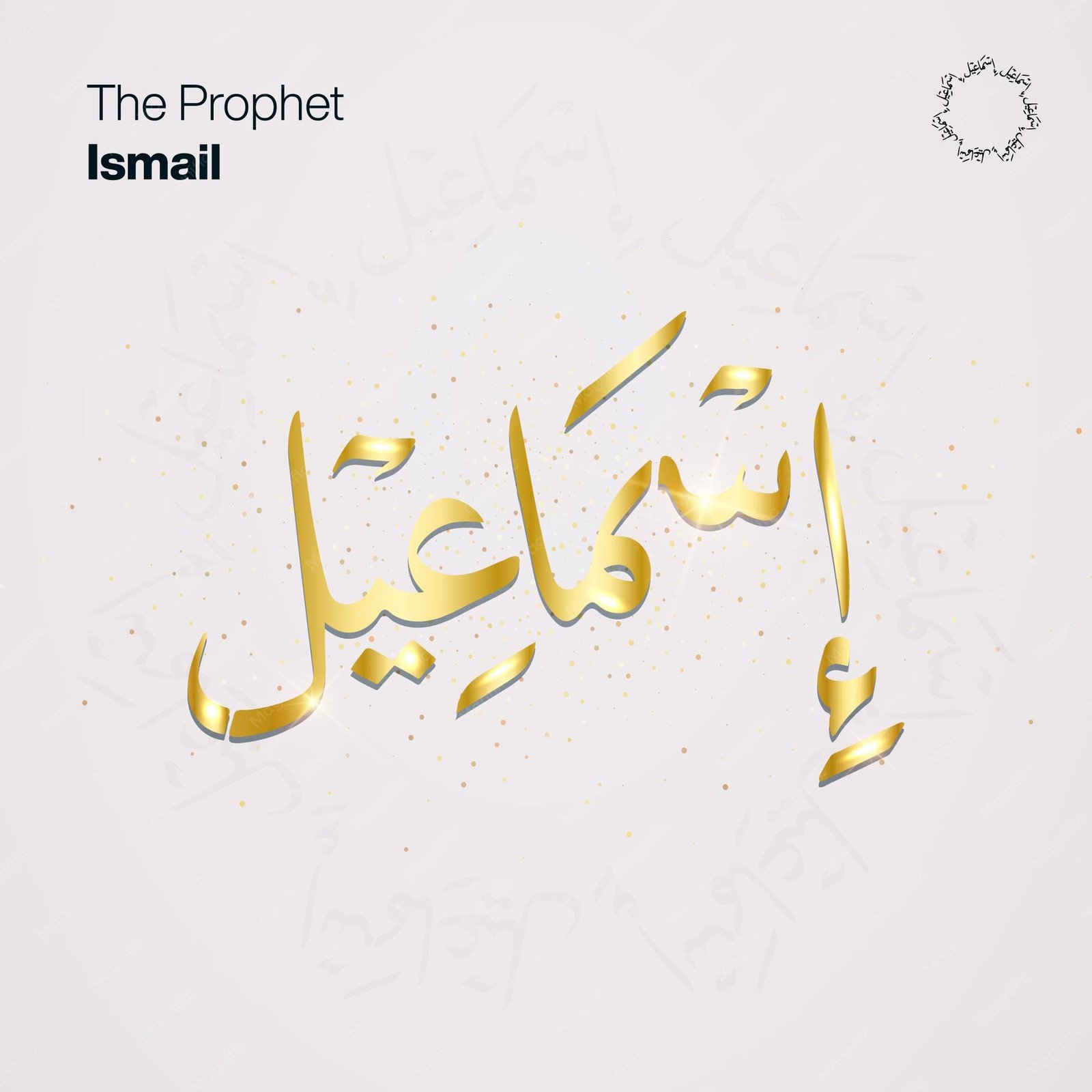 İsmail Şenol Profil Resmi