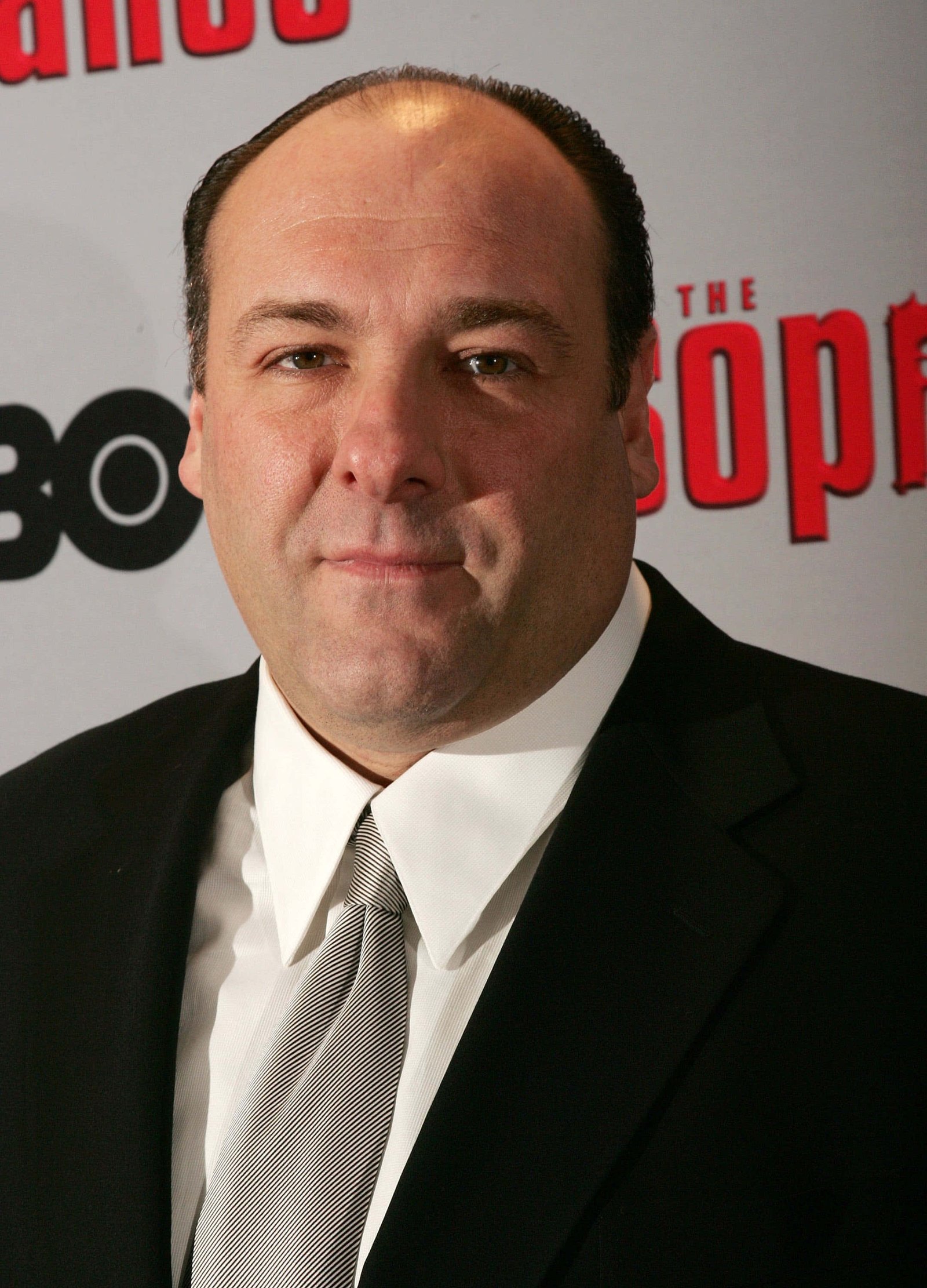 James Gandolfini Fotoğrafı - 2