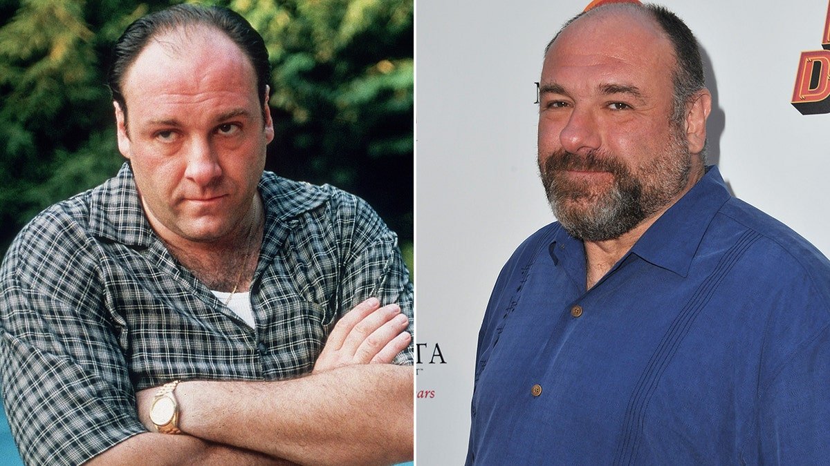 James Gandolfini Fotoğrafı - 4