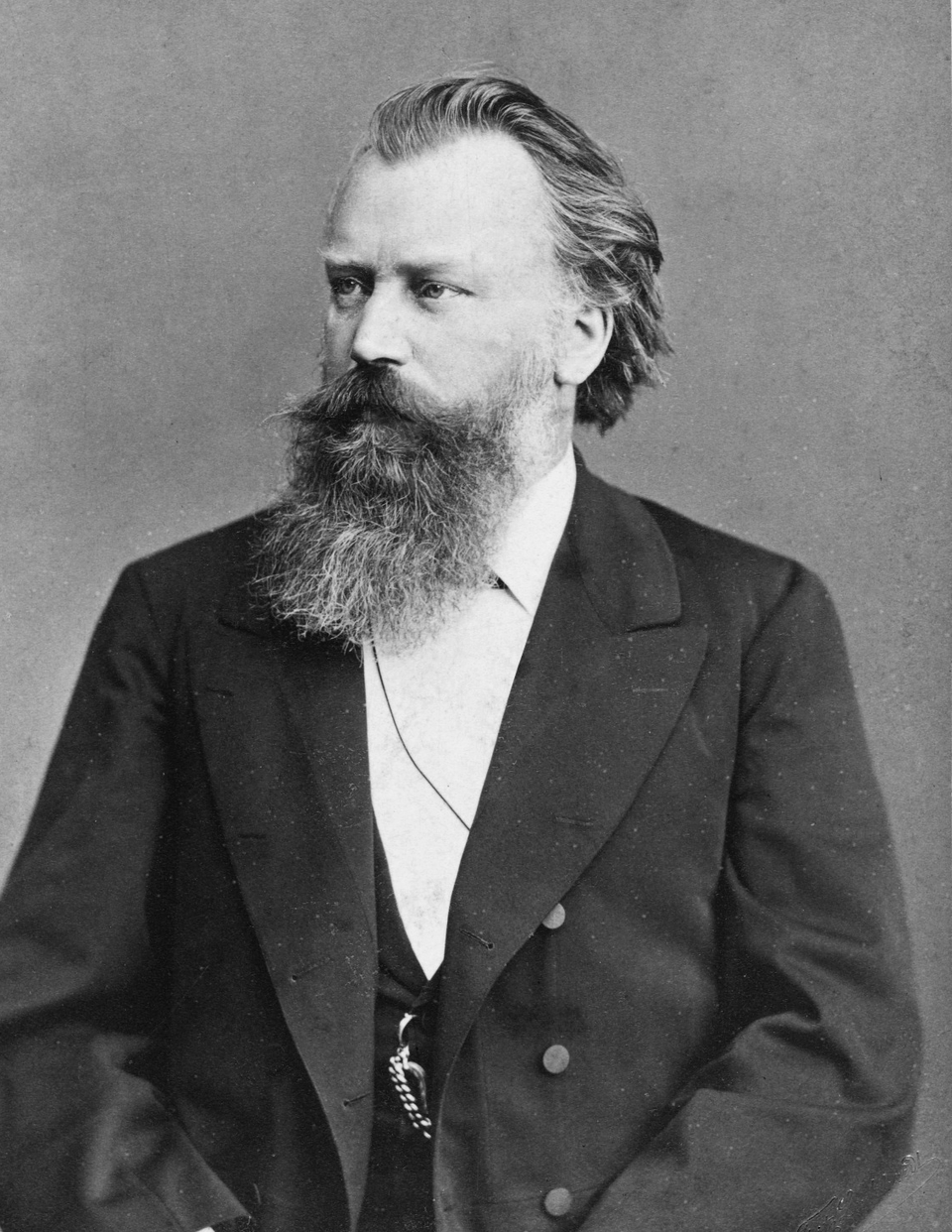 Johannes Brahms Fotoğrafı - 2