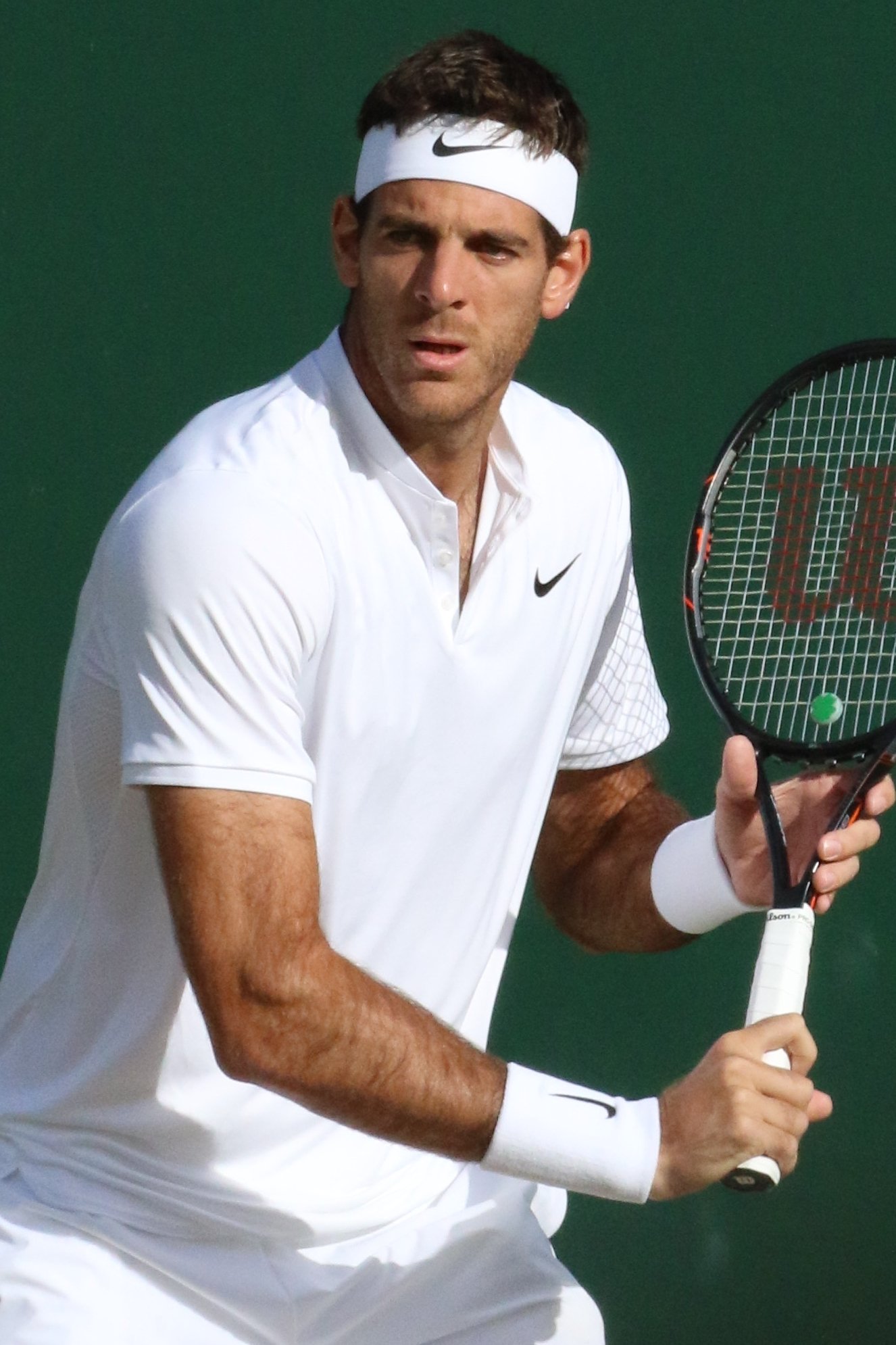 Juan Martin del Potro Fotoğrafı - 1