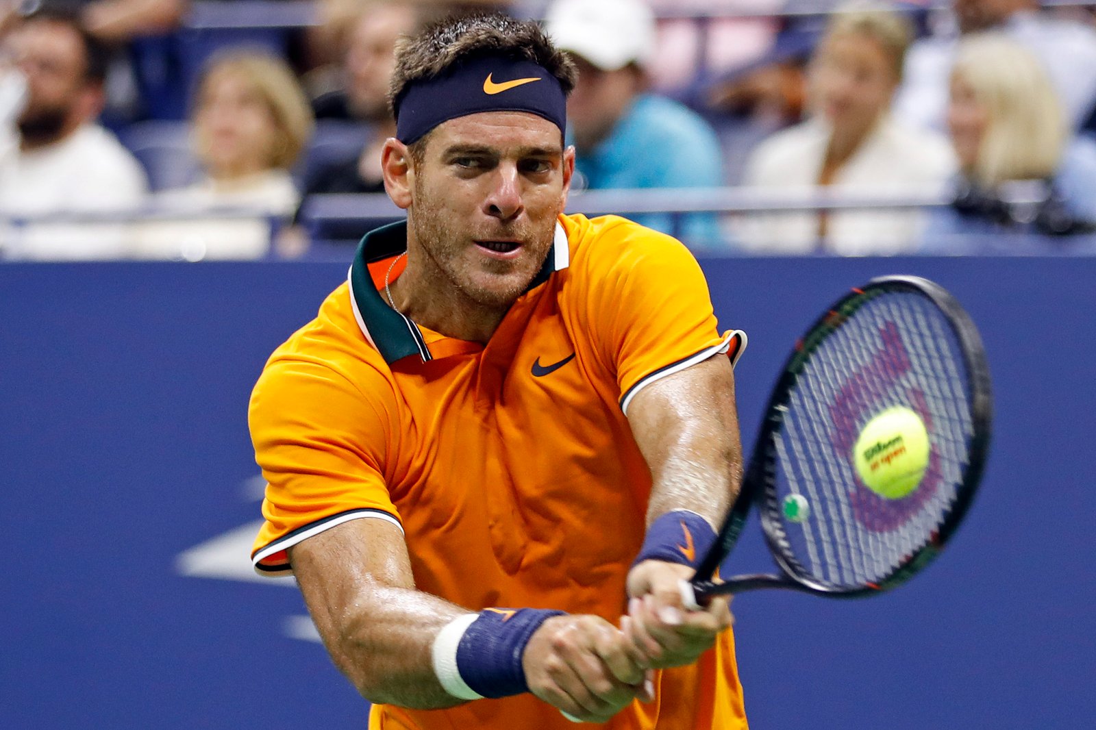 Juan Martin del Potro Fotoğrafı - 2