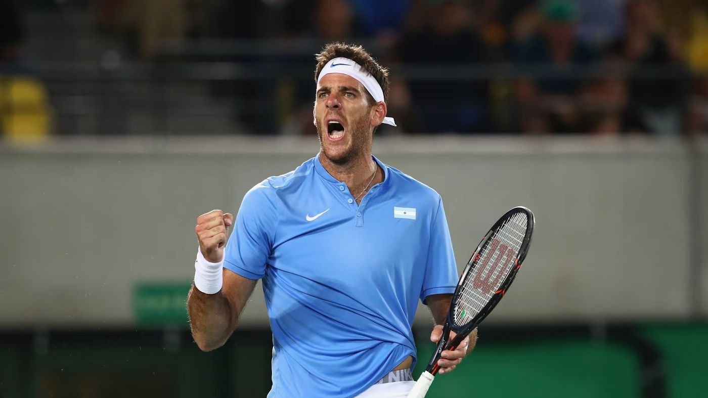 Juan Martin del Potro Profil Resmi