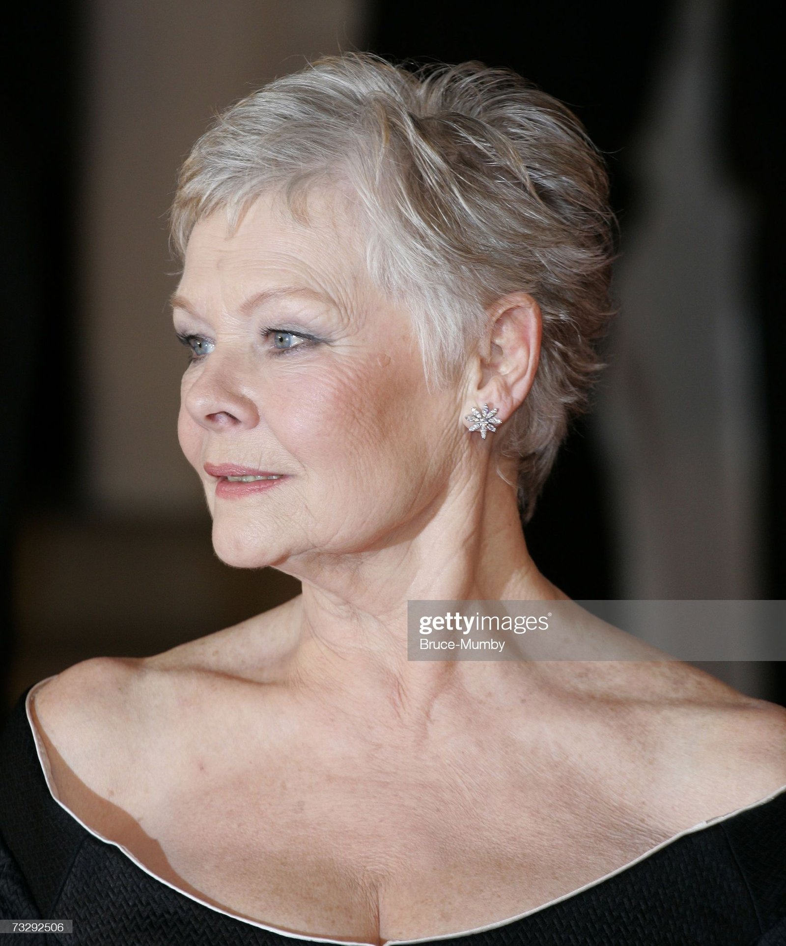Judi Dench Fotoğrafı - 1