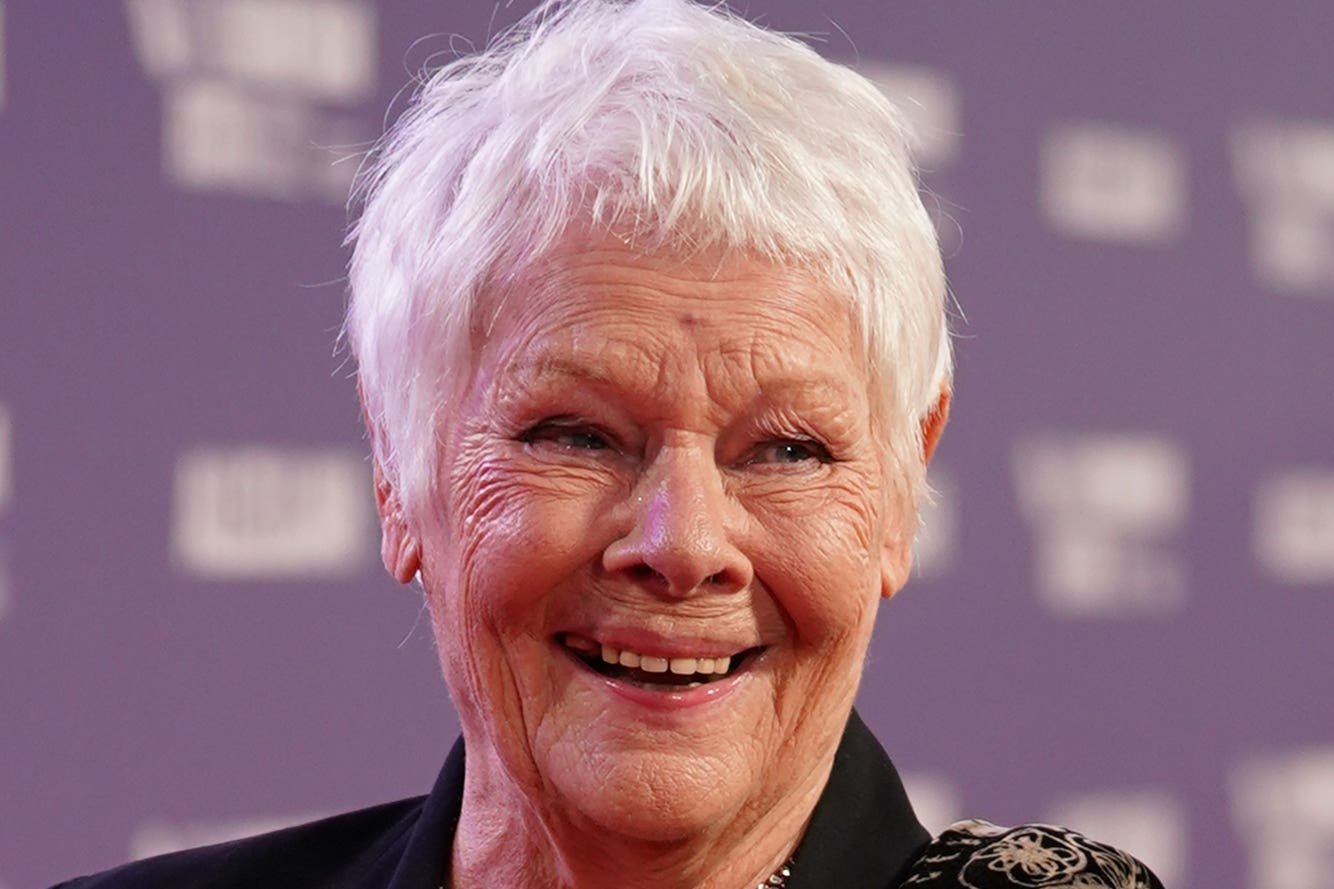 Judi Dench Fotoğrafı - 4