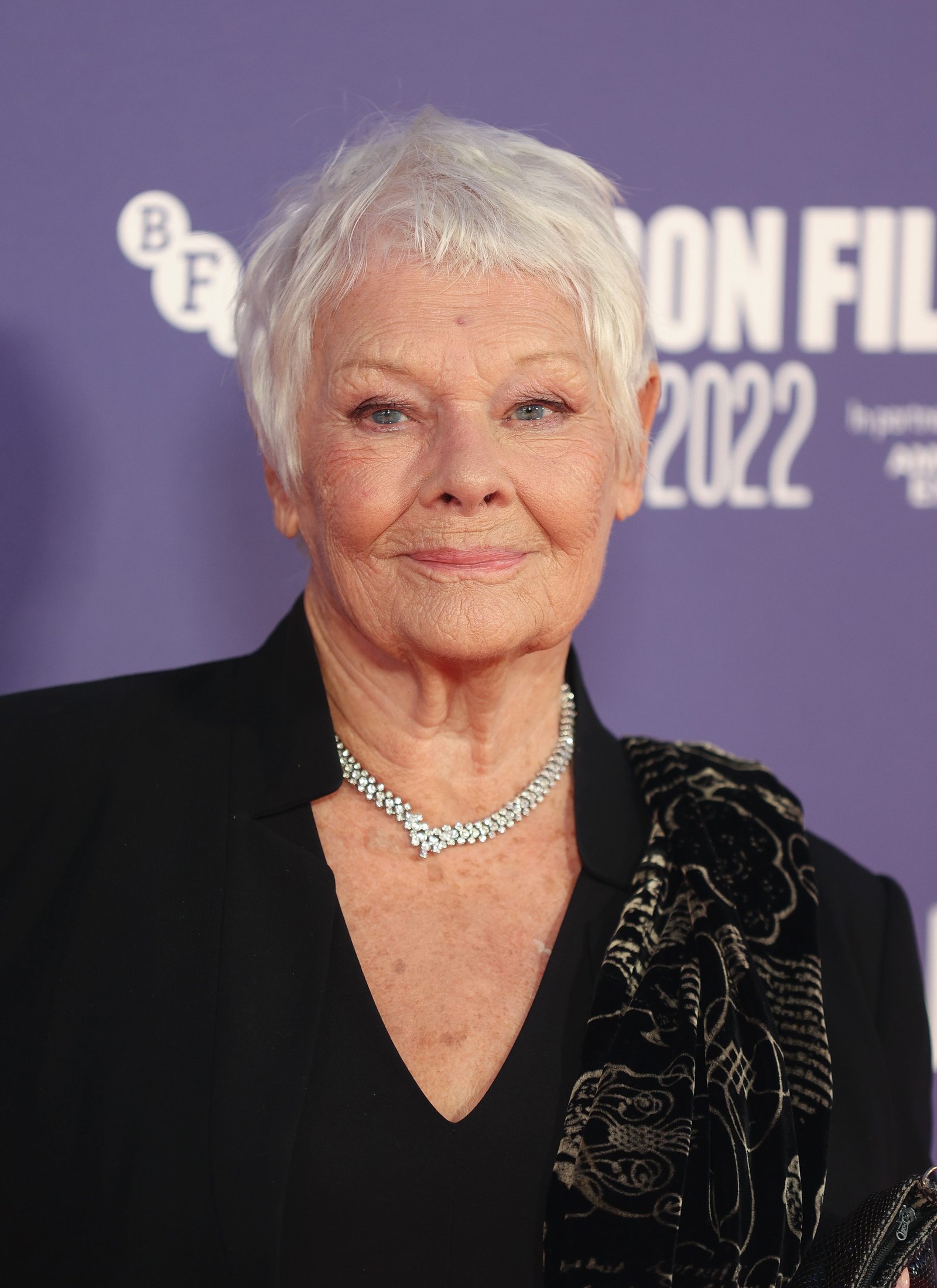 Judi Dench Profil Resmi