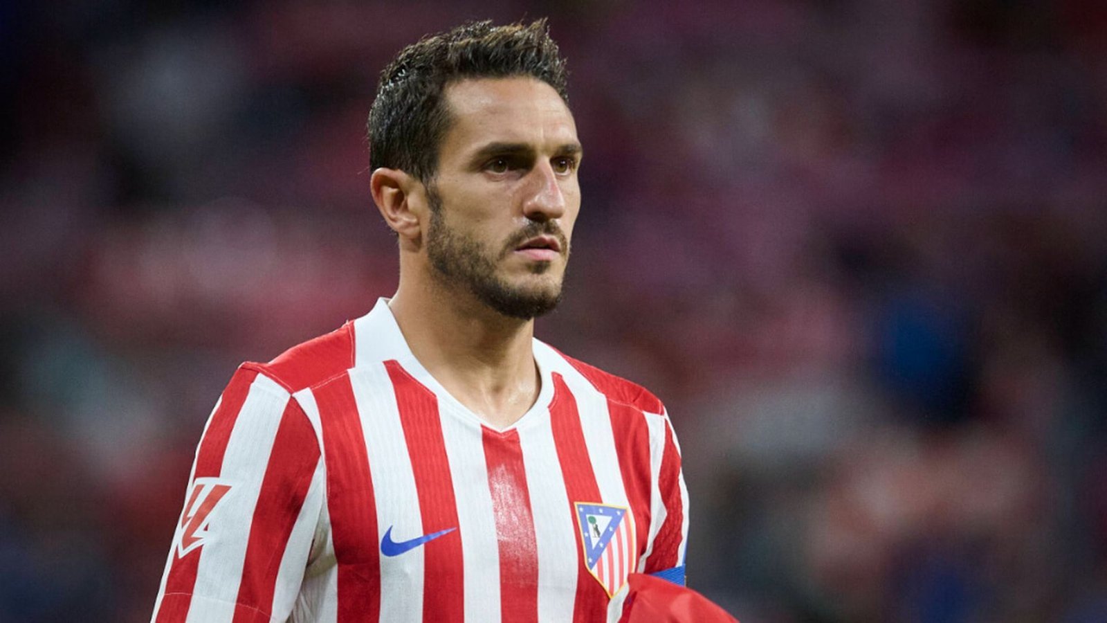 Koke Fotoğrafı - 3