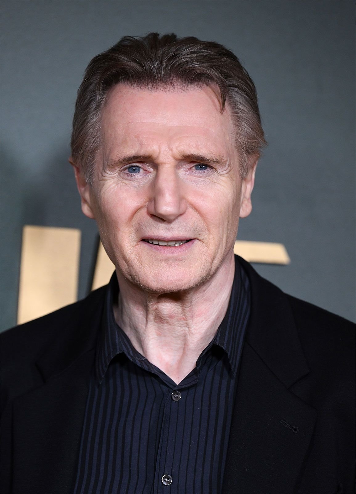 Liam Neeson Profil Resmi