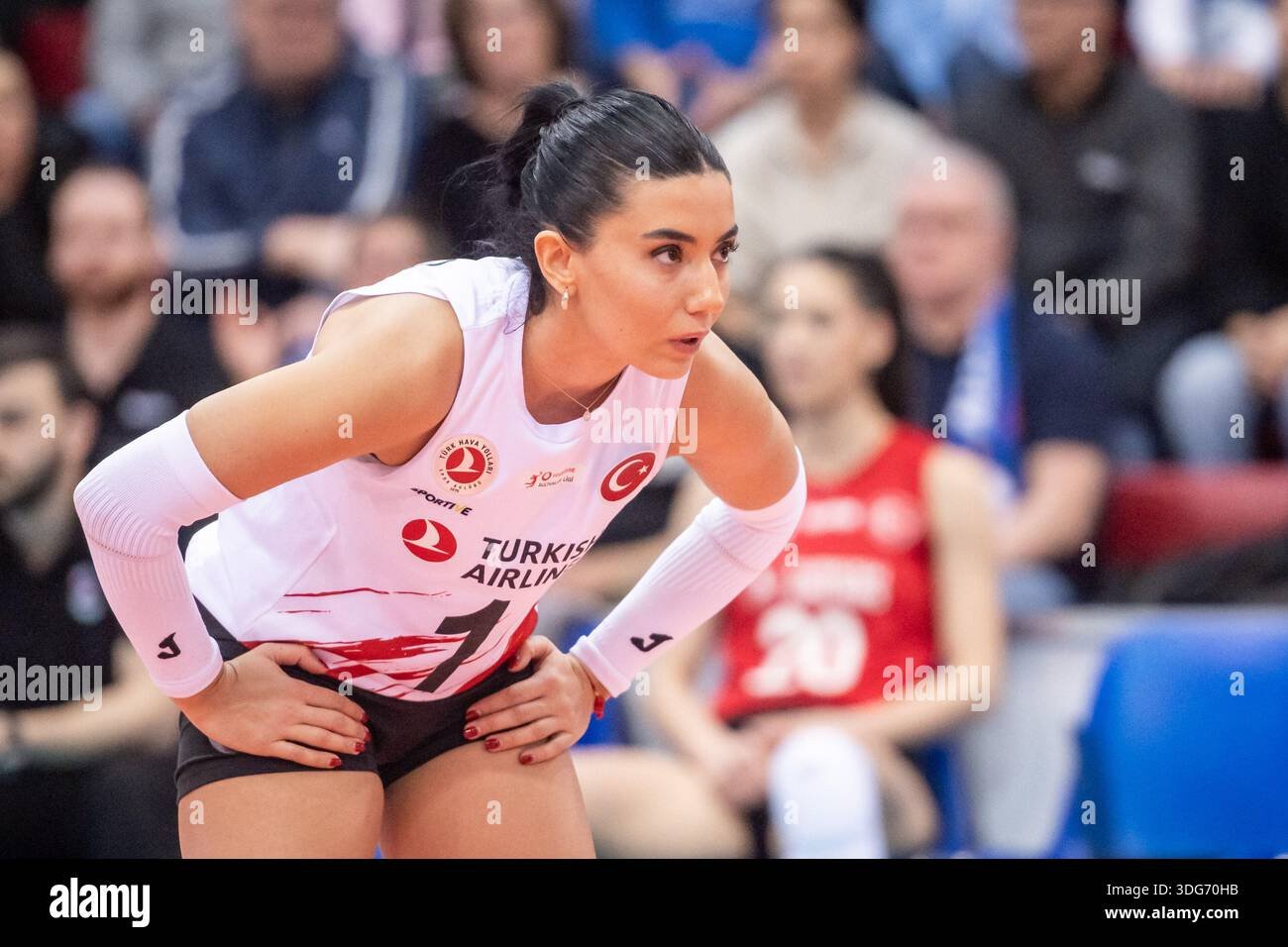 Melis Yılmaz Profil Resmi