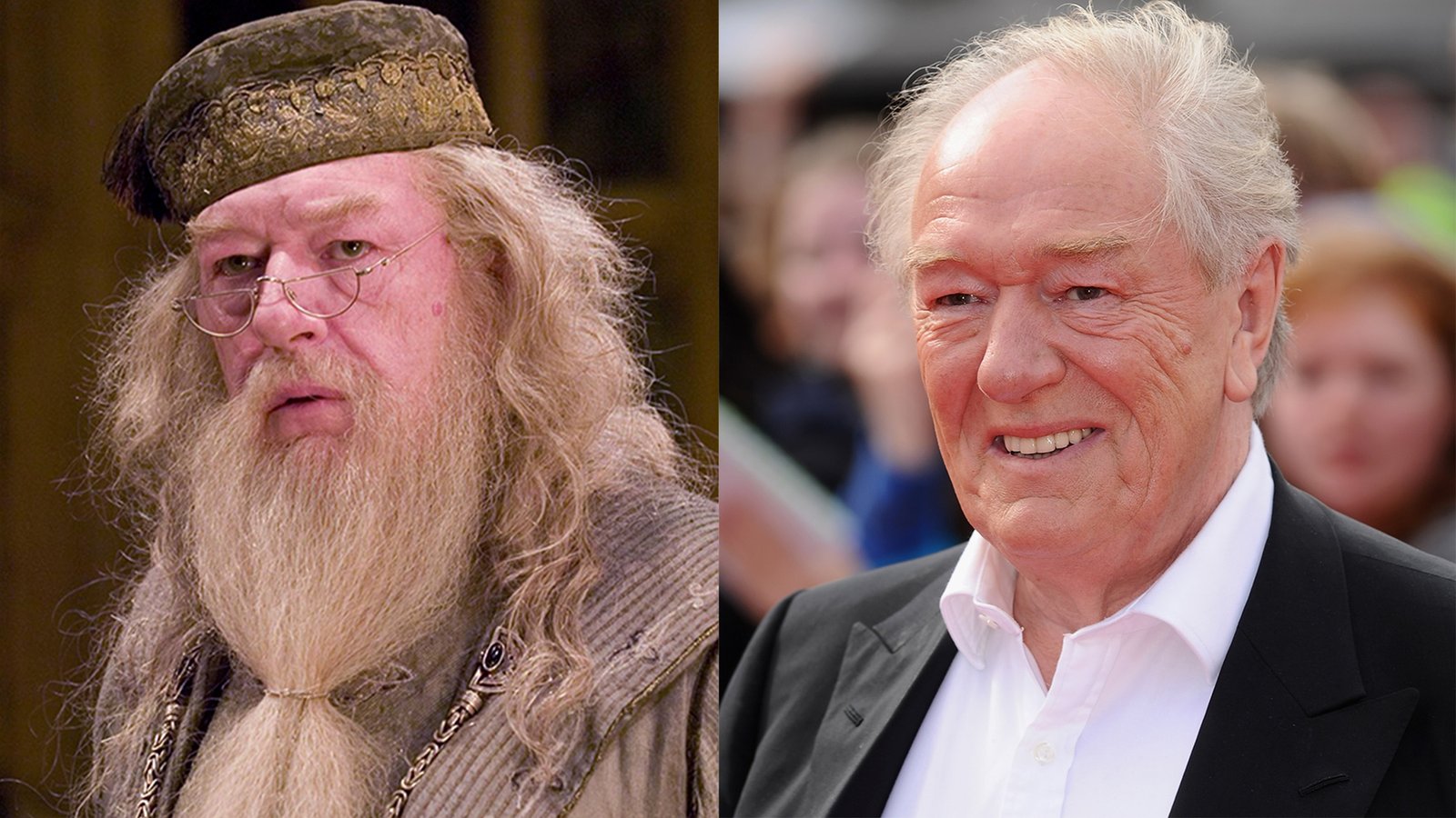 Michael Gambon Fotoğrafı - 2