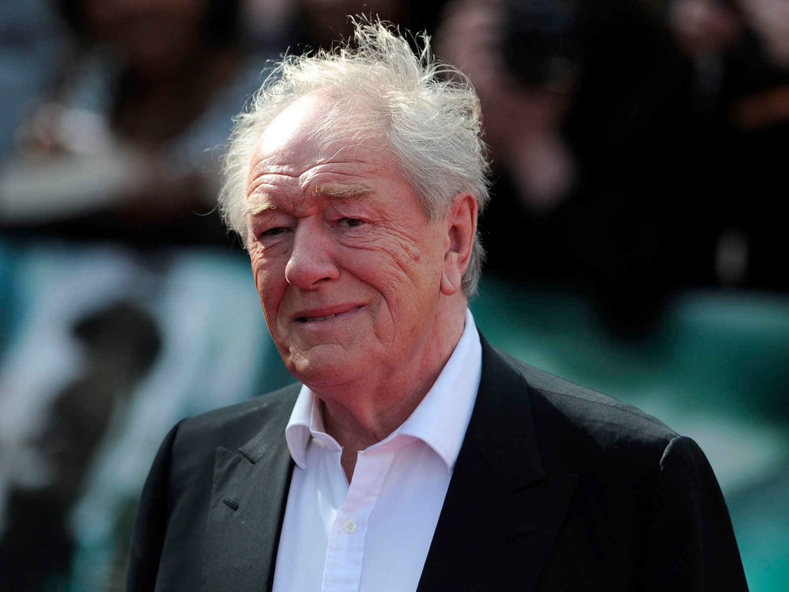Michael Gambon Fotoğrafı - 4