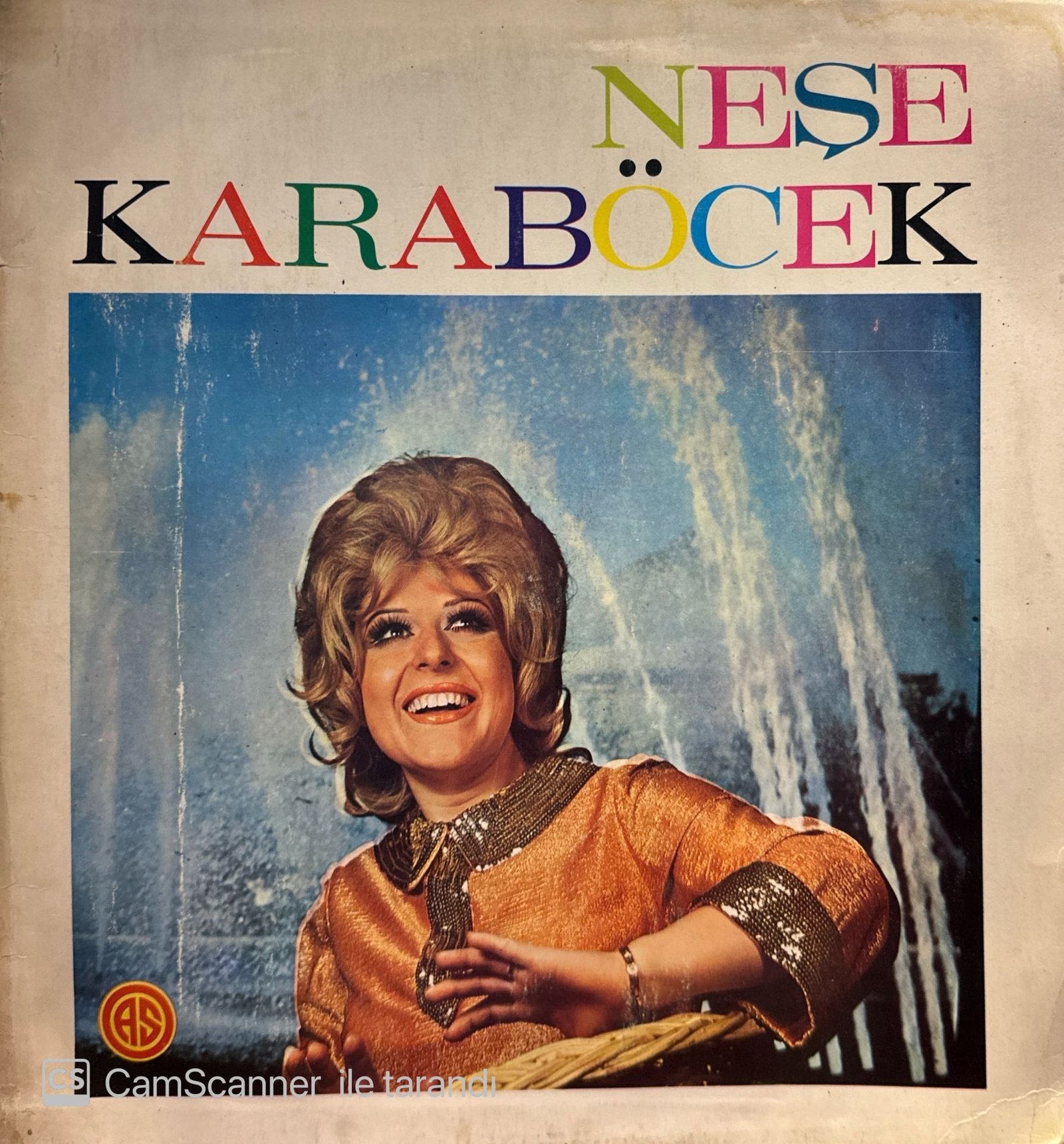 Neşe Karaböcek Fotoğrafı - 4