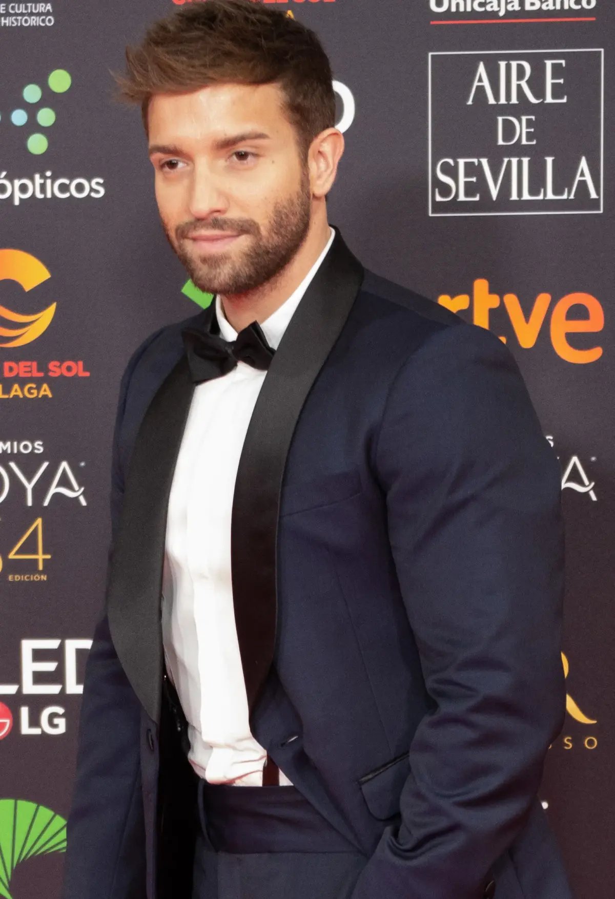 Pablo Alborán Fotoğrafı - 1