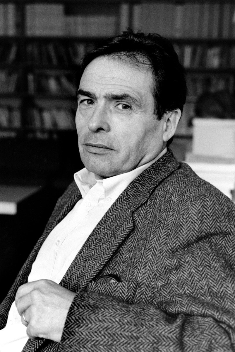 Pierre Bourdieu Fotoğrafı - 2