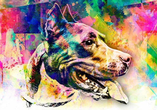 Pitbull Fotoğrafı - 1