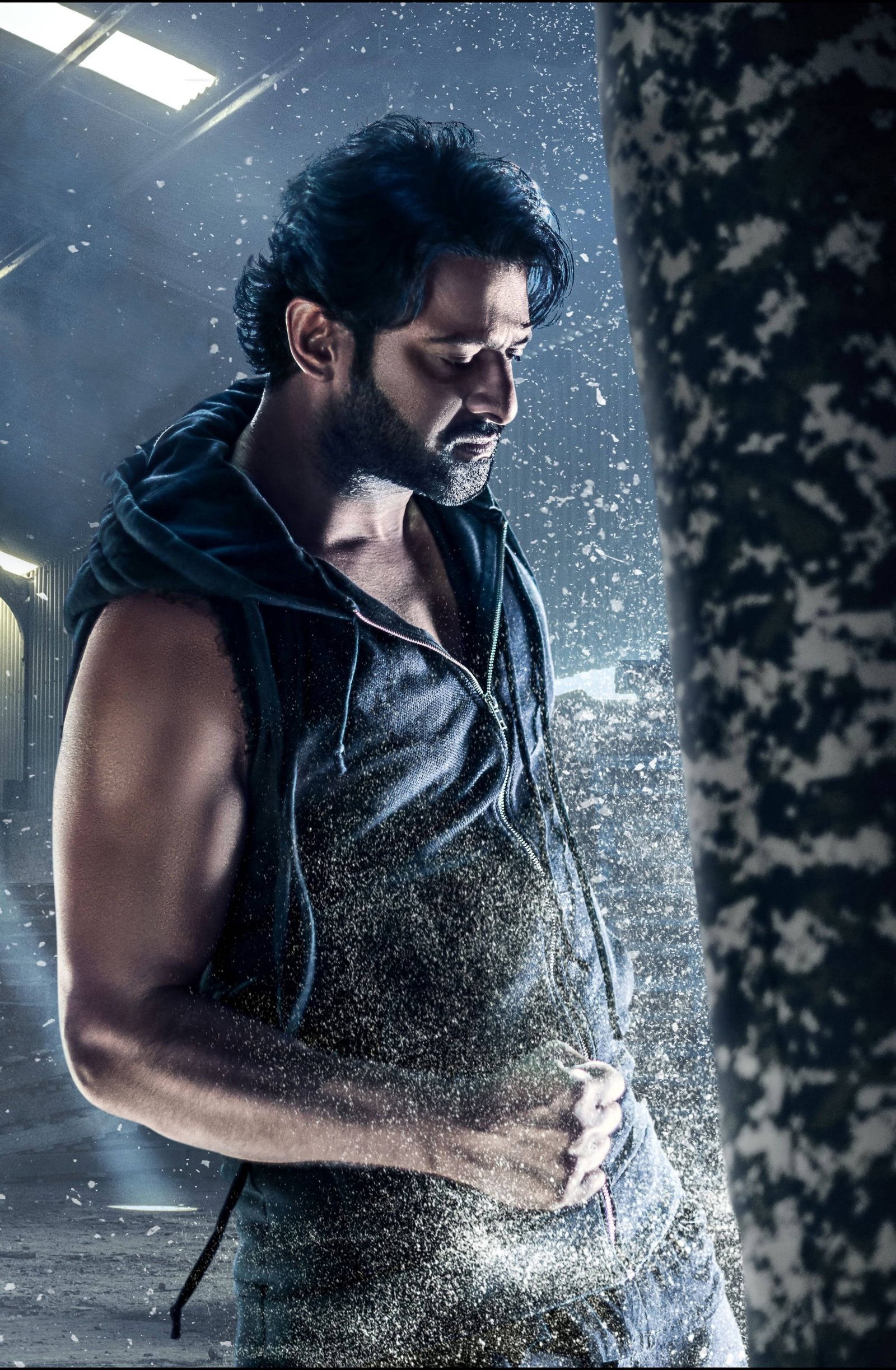 Prabhas Profil Resmi