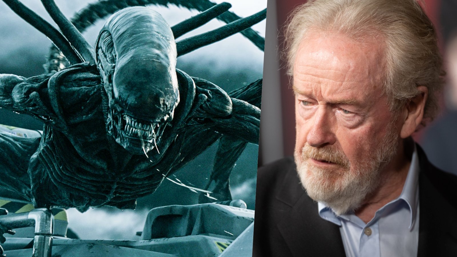 Ridley Scott Fotoğrafı - 3
