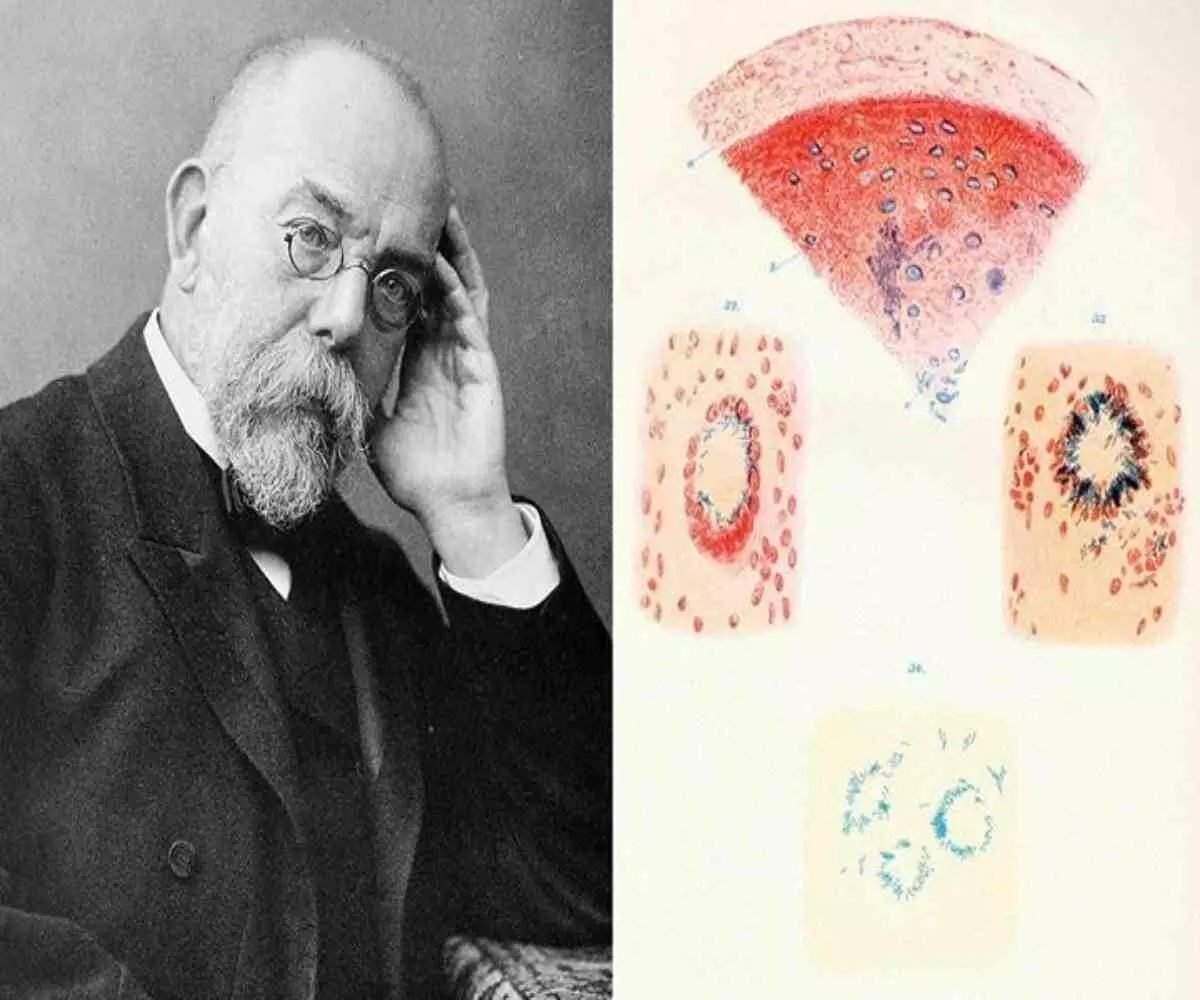 Robert Koch Fotoğrafı - 2