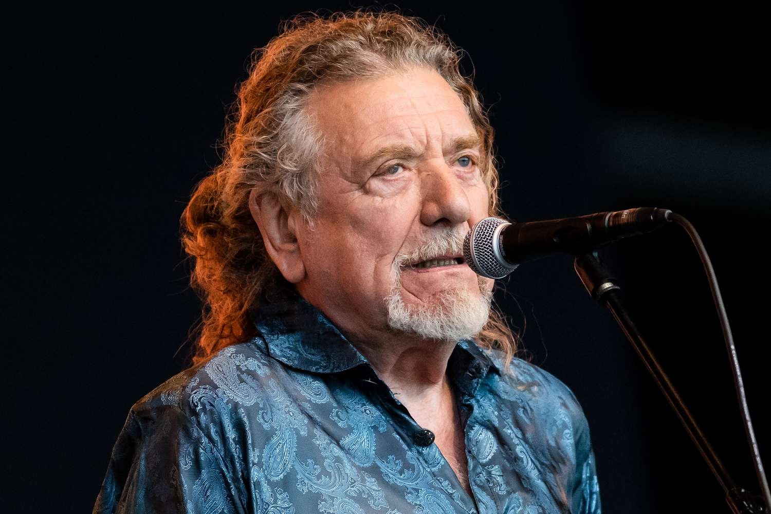 Robert Plant Fotoğrafı - 2