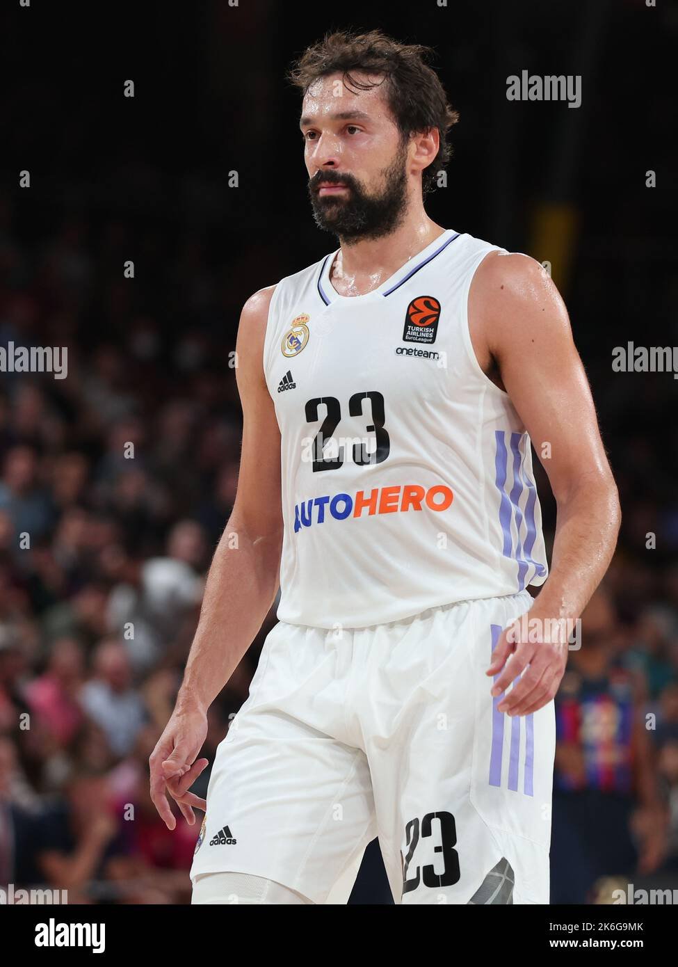 Sergio Llull Fotoğrafı - 3